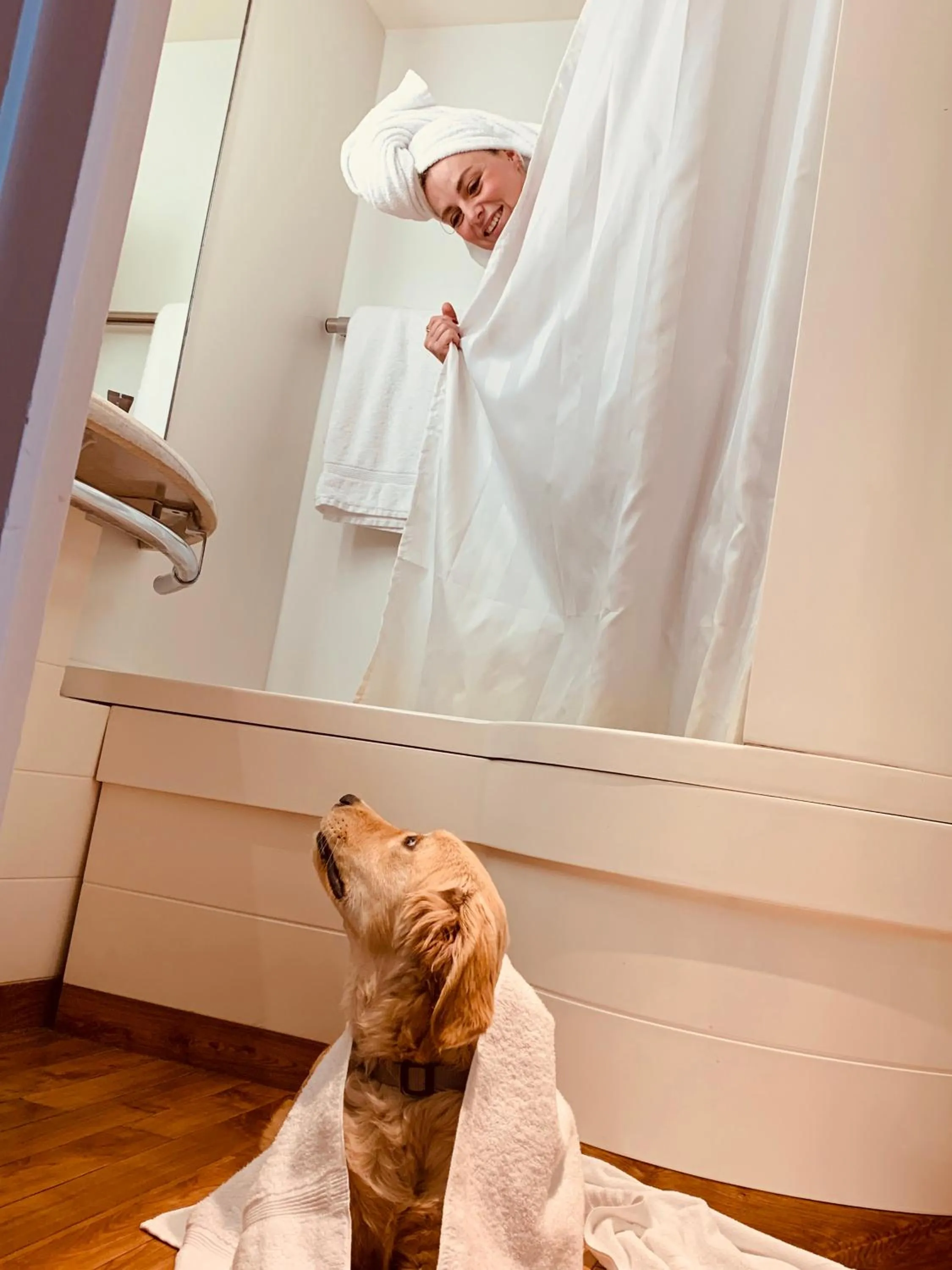 Animals, Pets in Novotel Genève Aéroport France