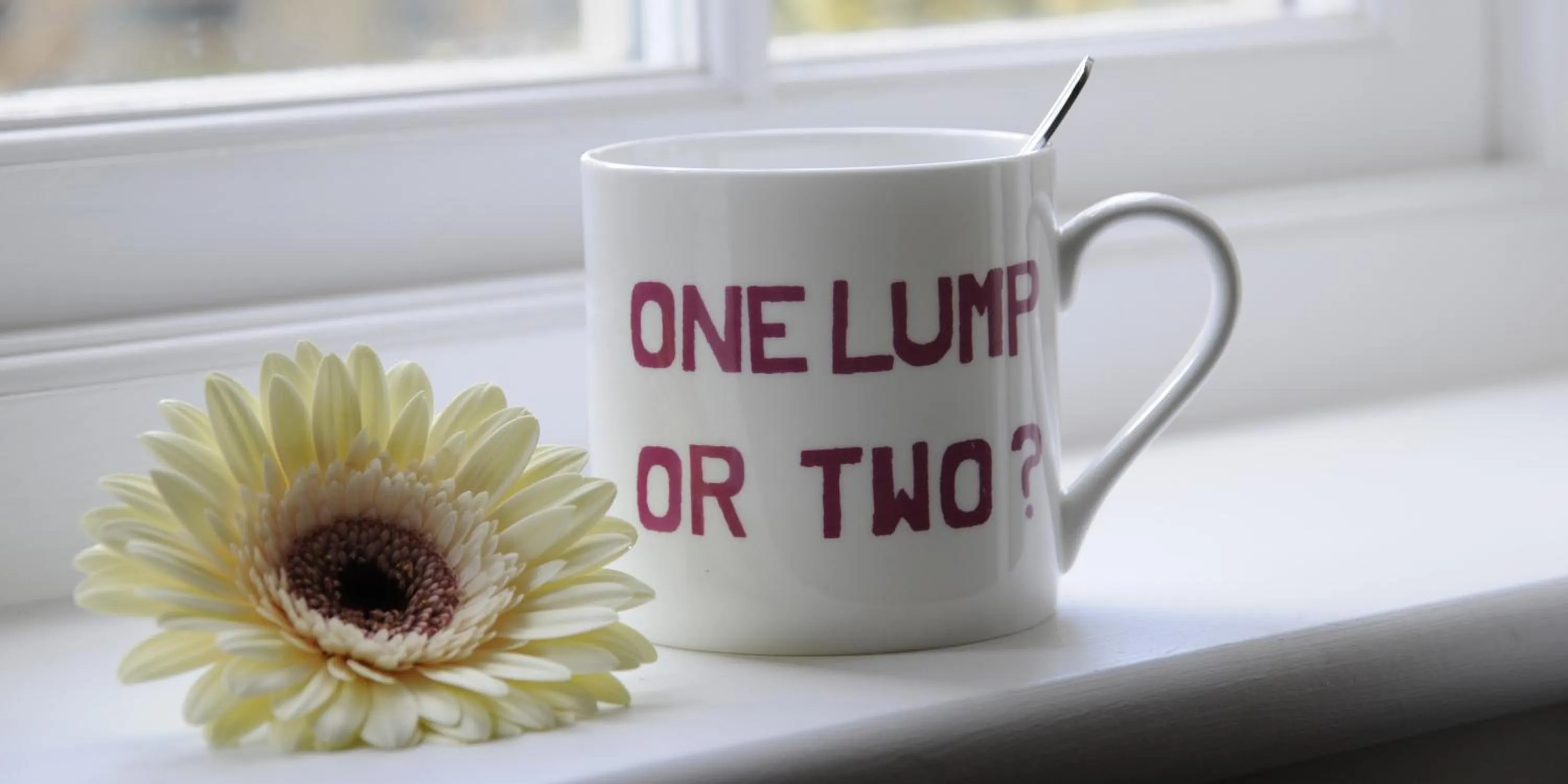 Coffee/tea facilities in The Swallows Rest Bed & Breakfast