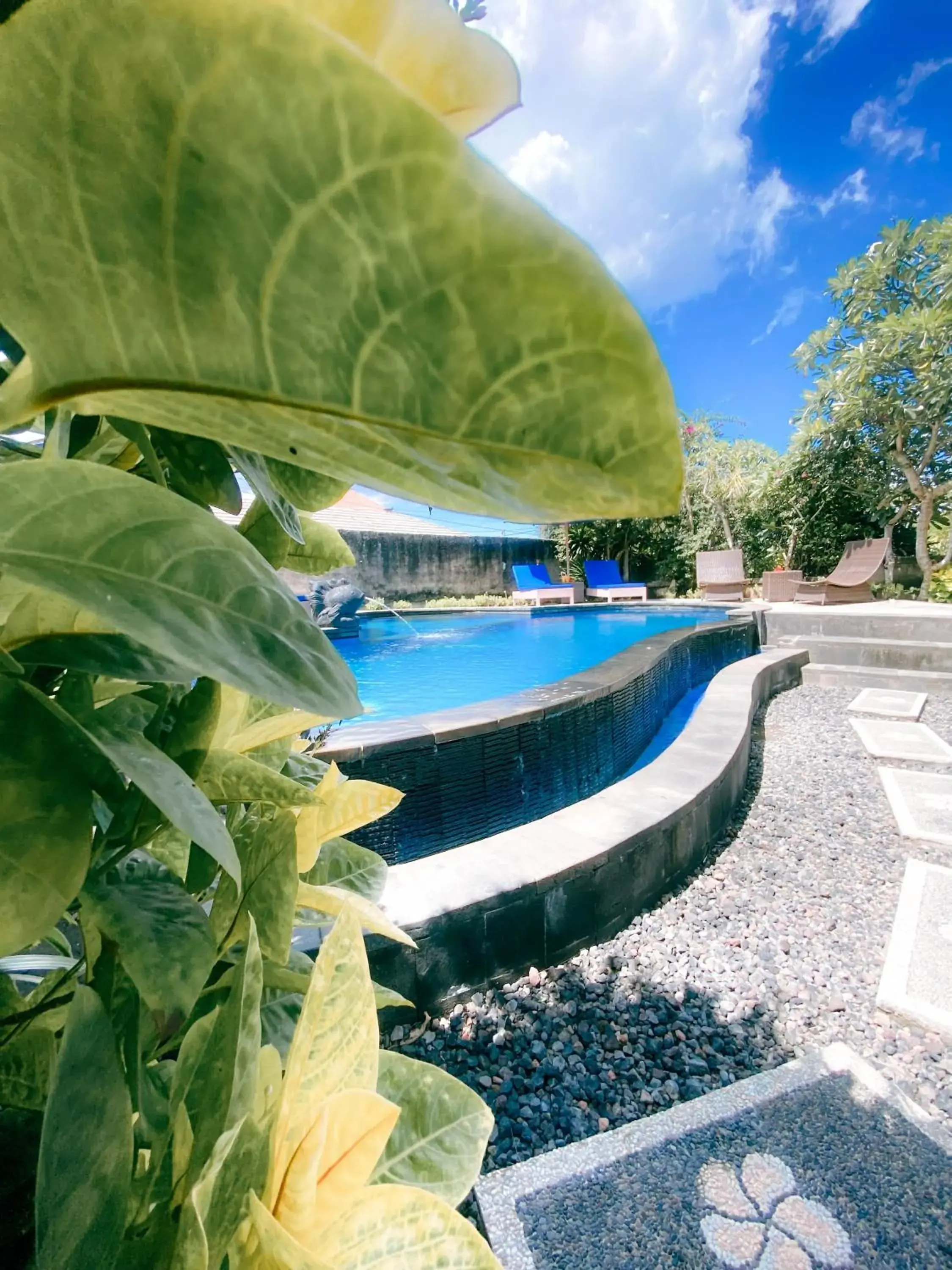 Swimming pool in Abian Huts Dream Beach Lembongan Swimming pool in Abian Huts Dream Beach Lembongan
