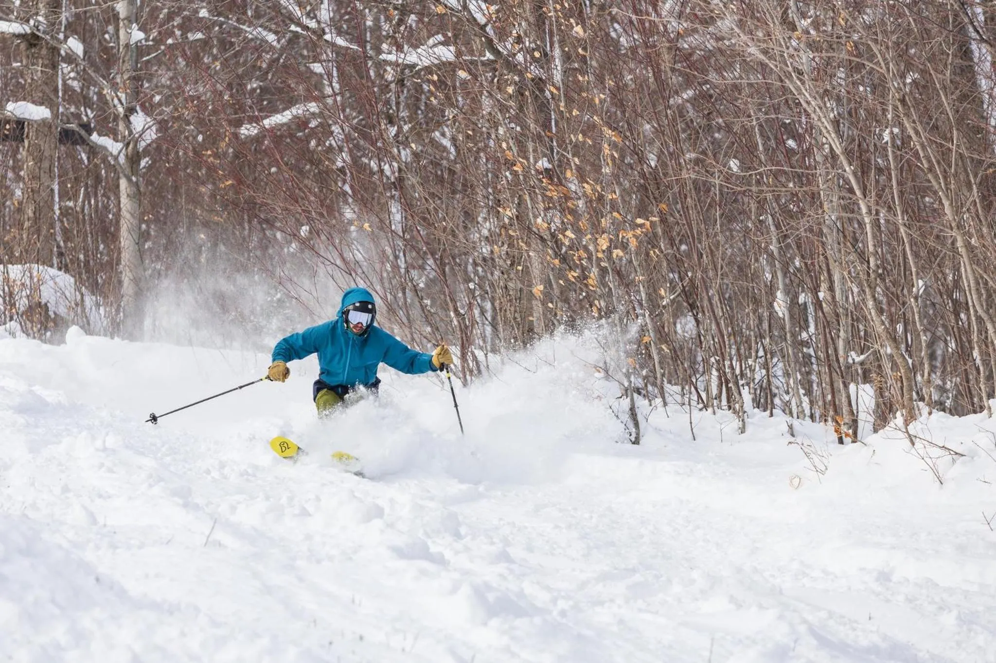 Nearby landmark in voco Saranac Lake NY - Waterfront by IHG