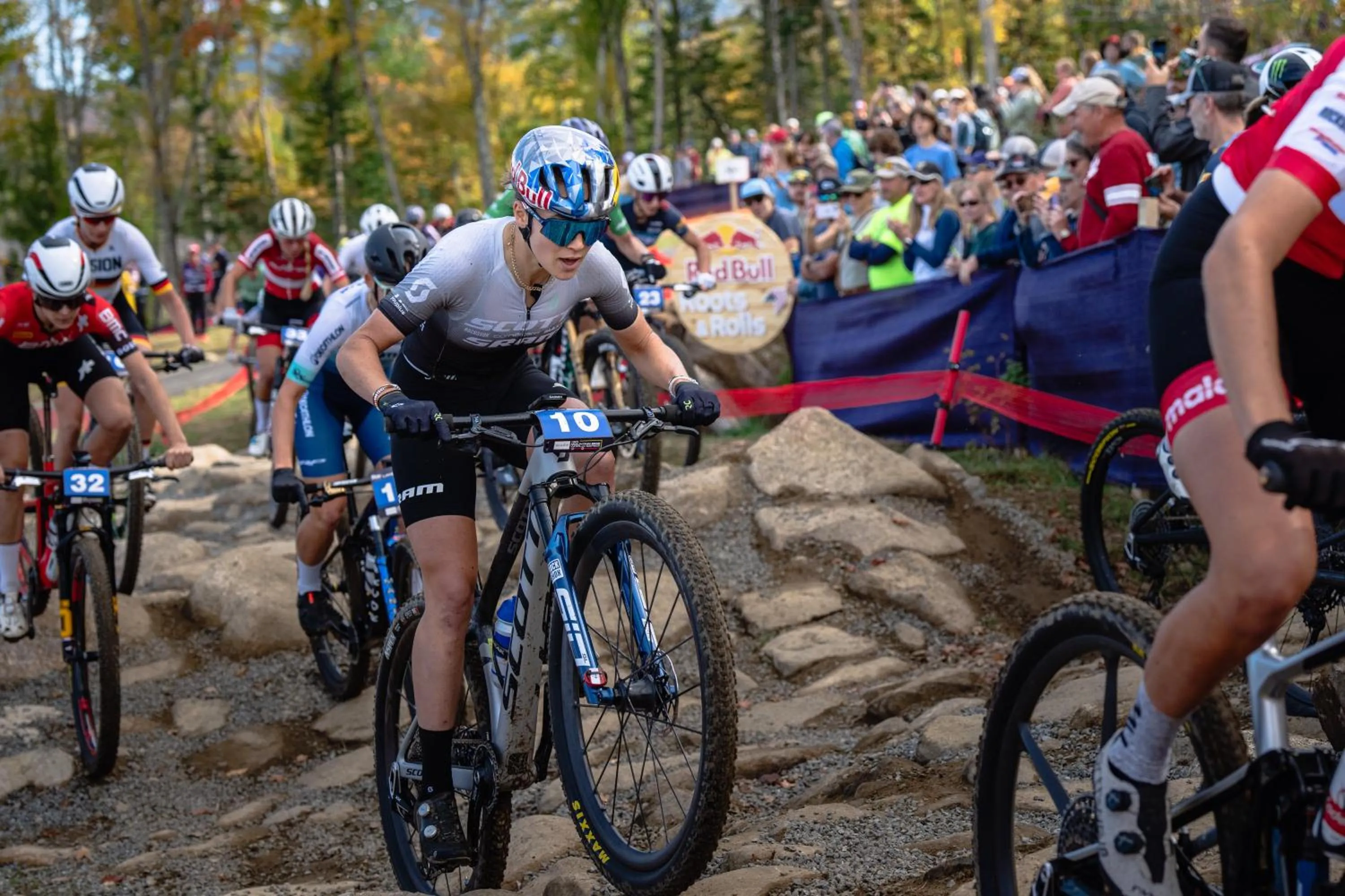 Nearby landmark in voco Saranac Lake NY - Waterfront by IHG