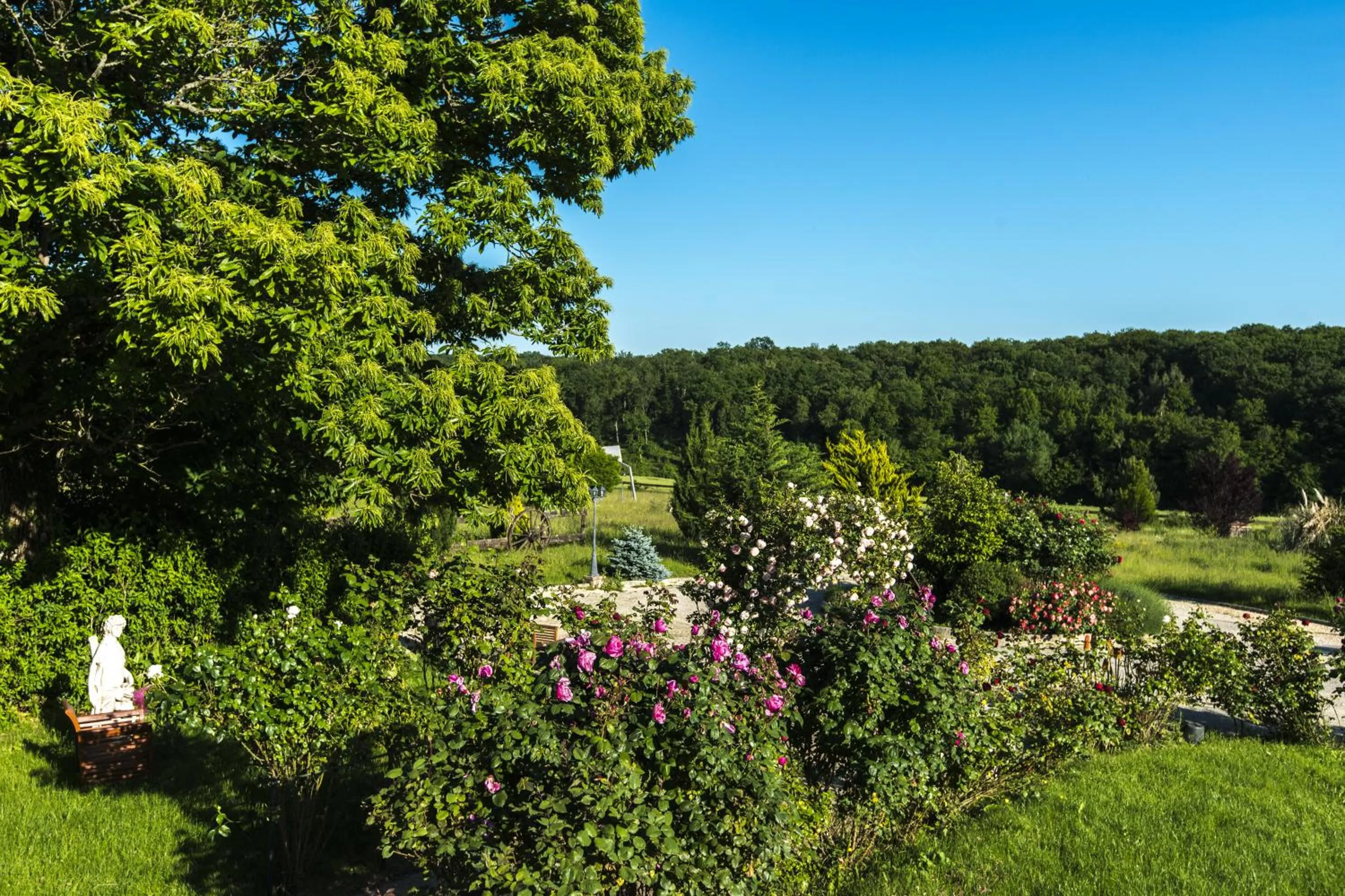 Garden in Le Petit Domaine de Bois Avril