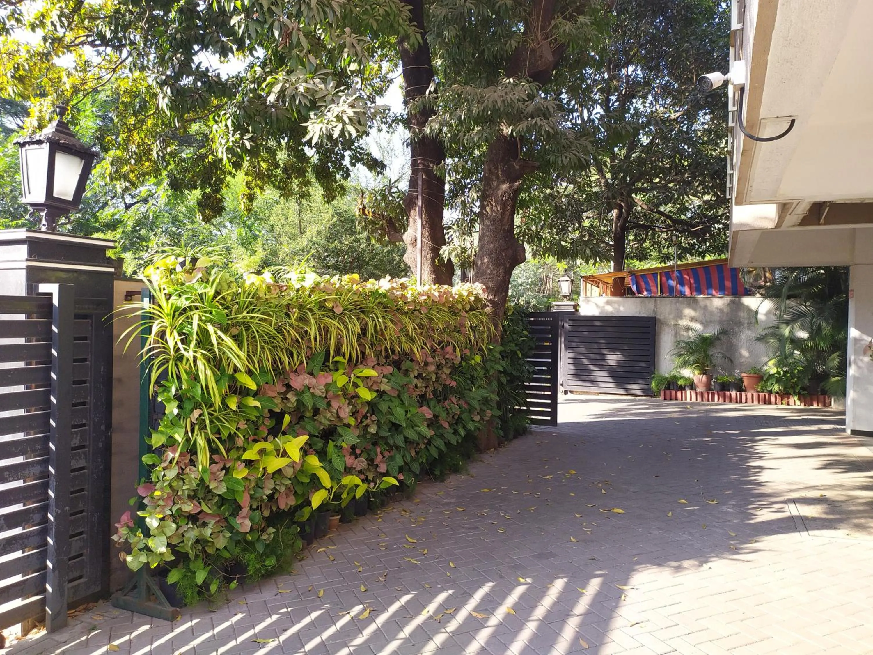 View (from property/room) in Kedari Residency