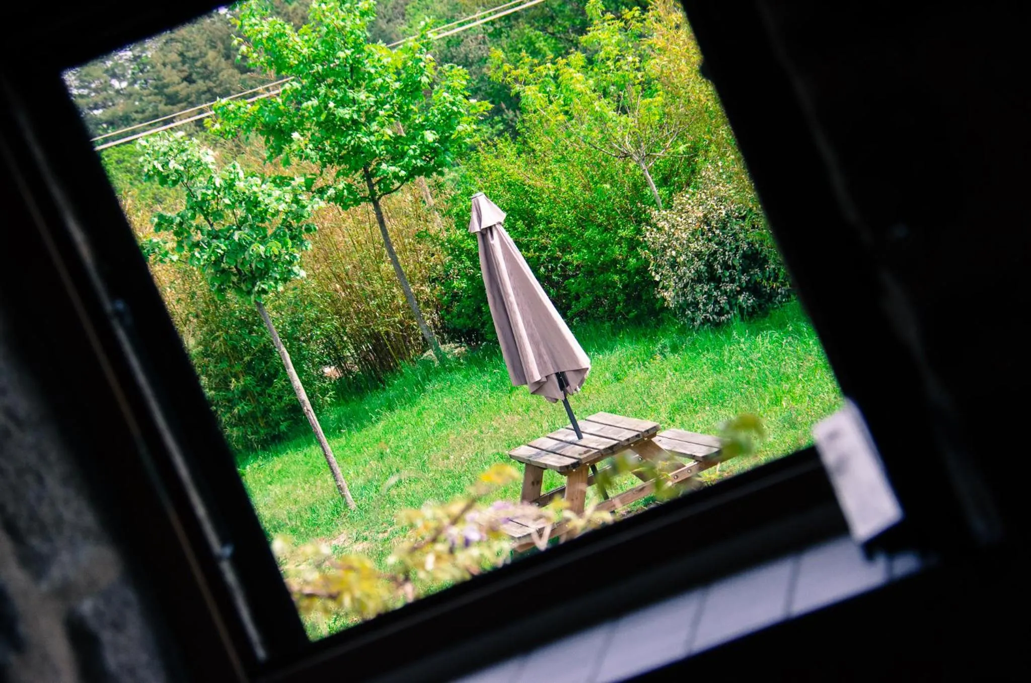 Garden view in Le Petit Rias Gîte Soleil