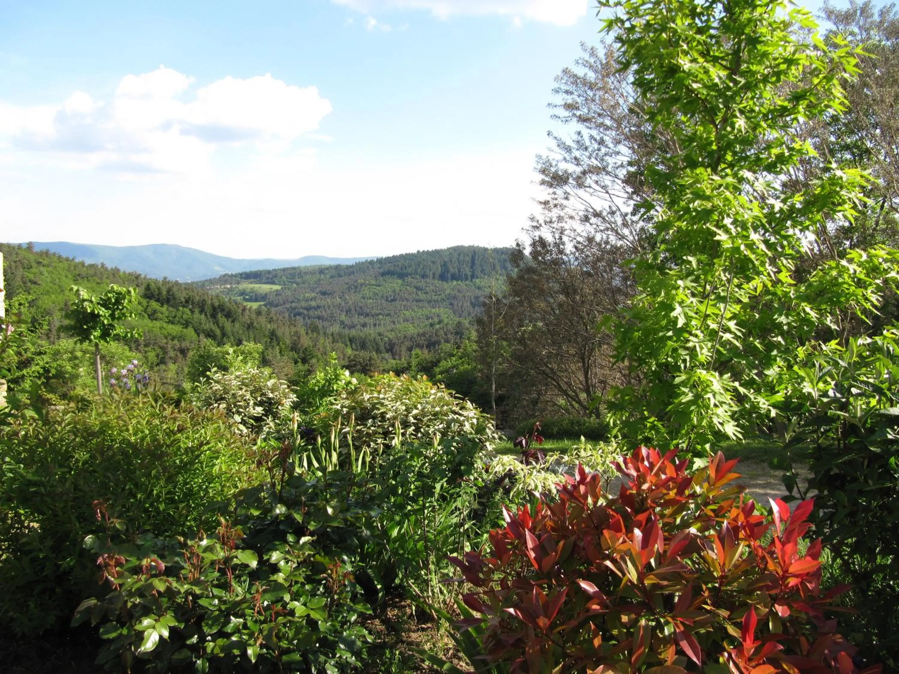 Mountain view in Le Petit Rias Gîte Soleil