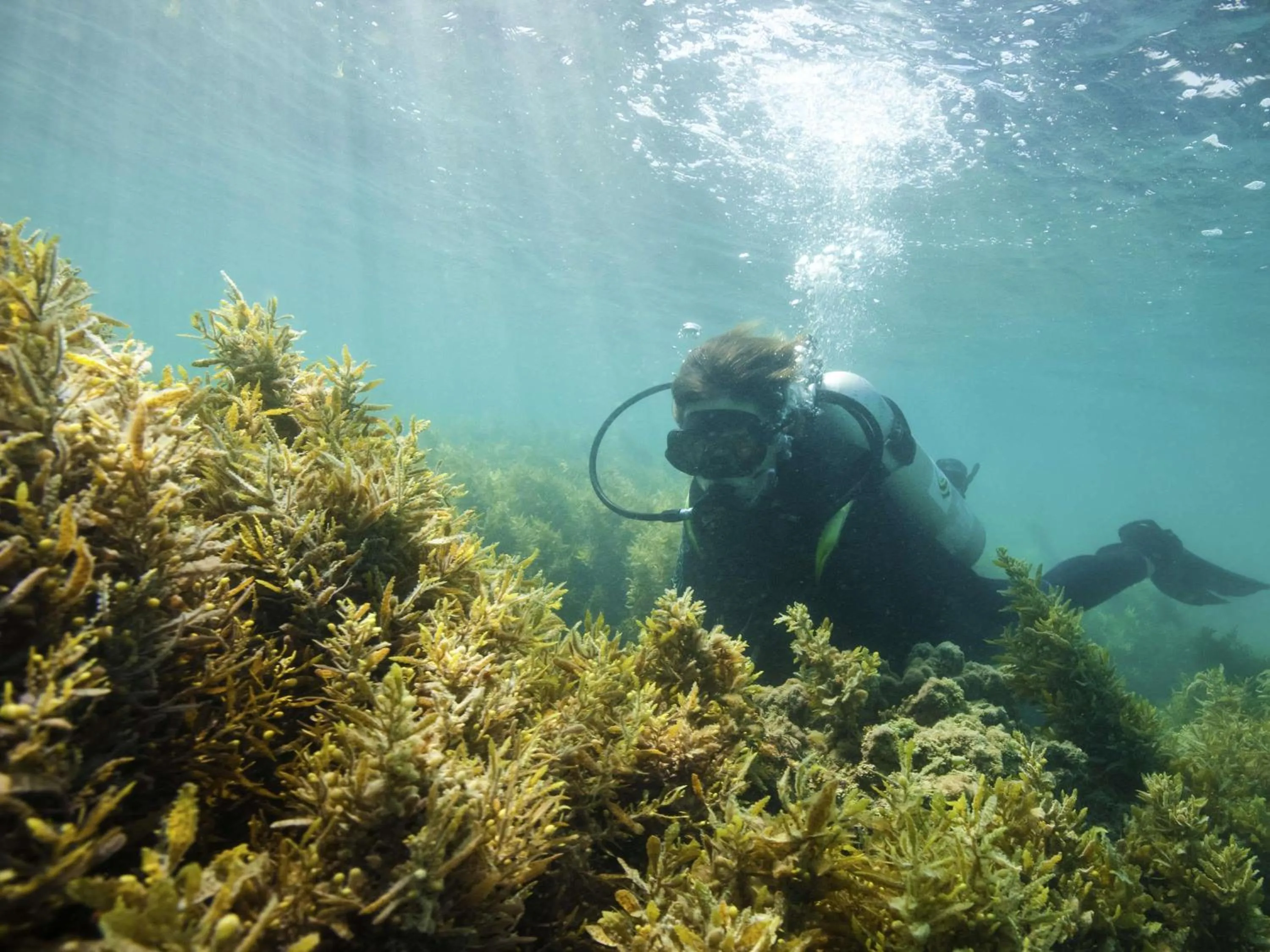 Other in Adagio Abu Dhabi Al Bustan