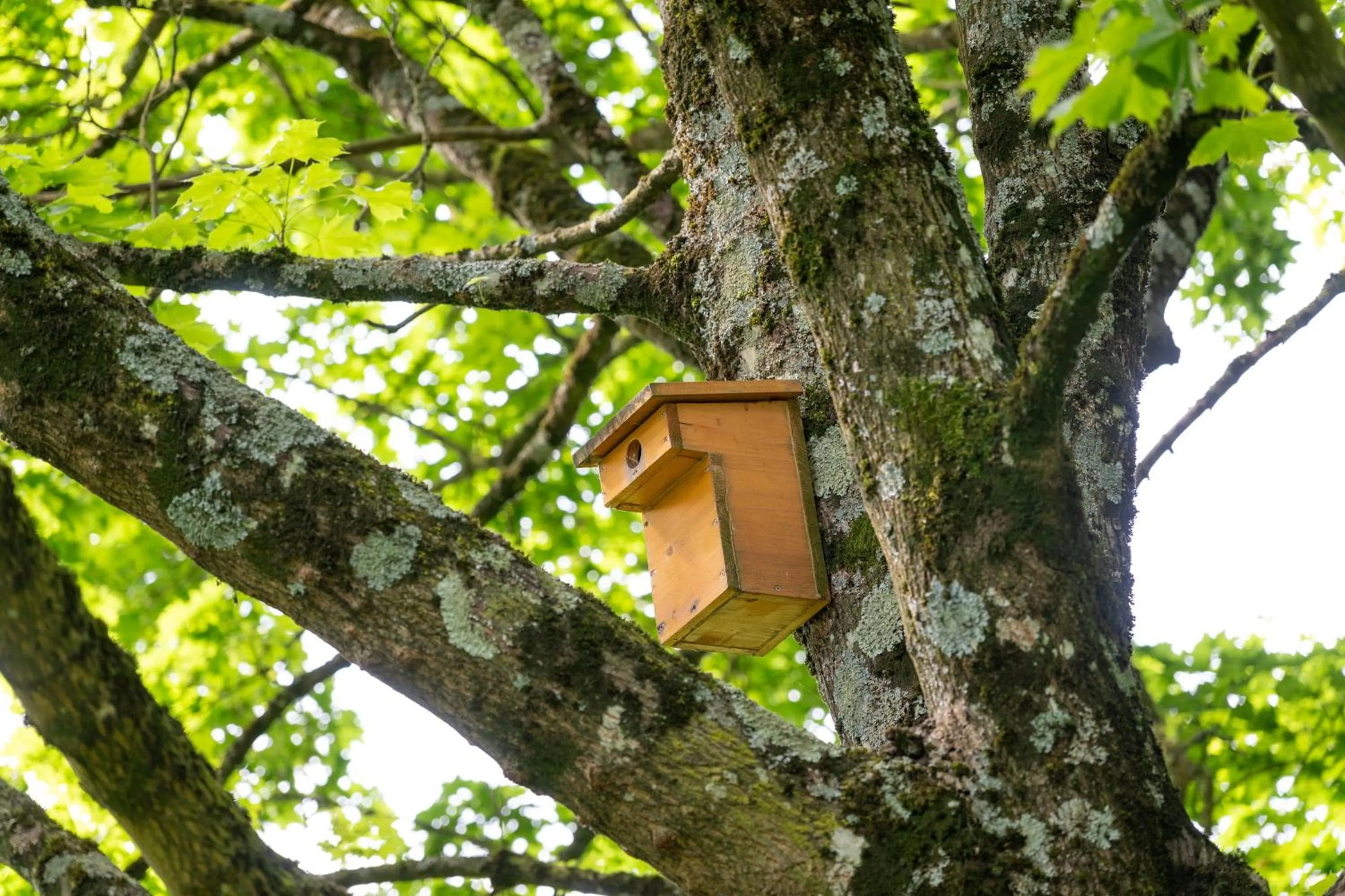 Natural landscape in Novotel Grenoble Nord Voreppe