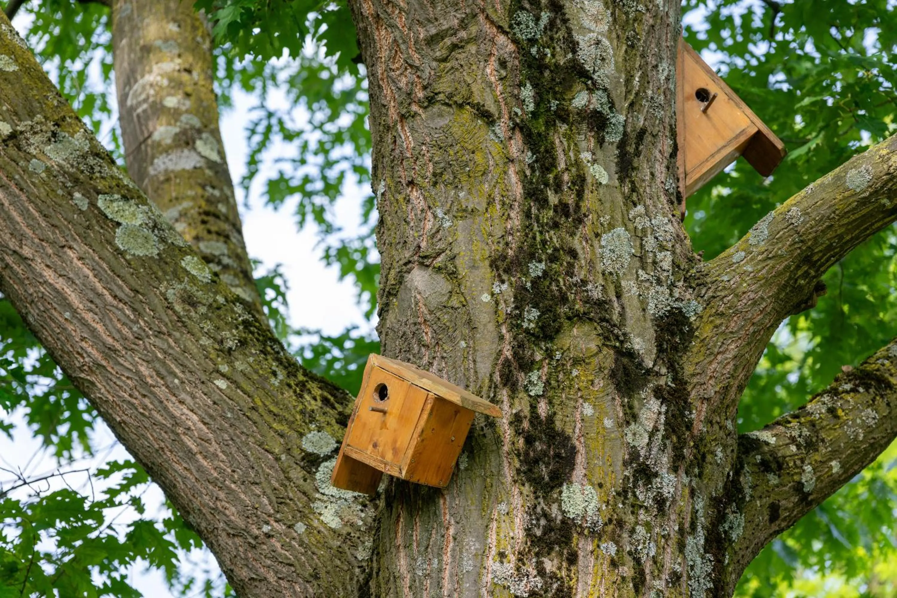 Natural landscape in Novotel Grenoble Nord Voreppe