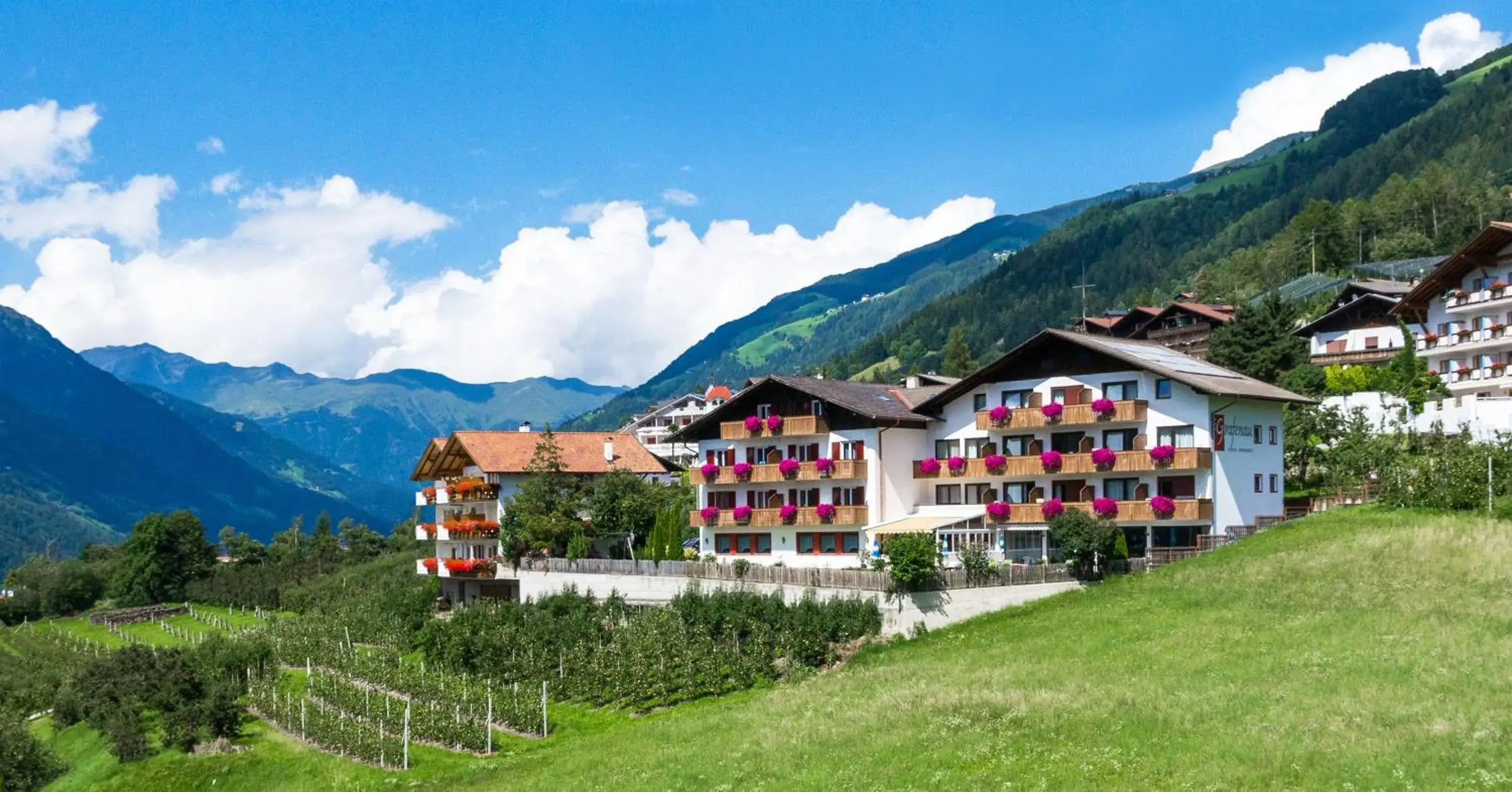 Pension Grafenau Pension Grafenau