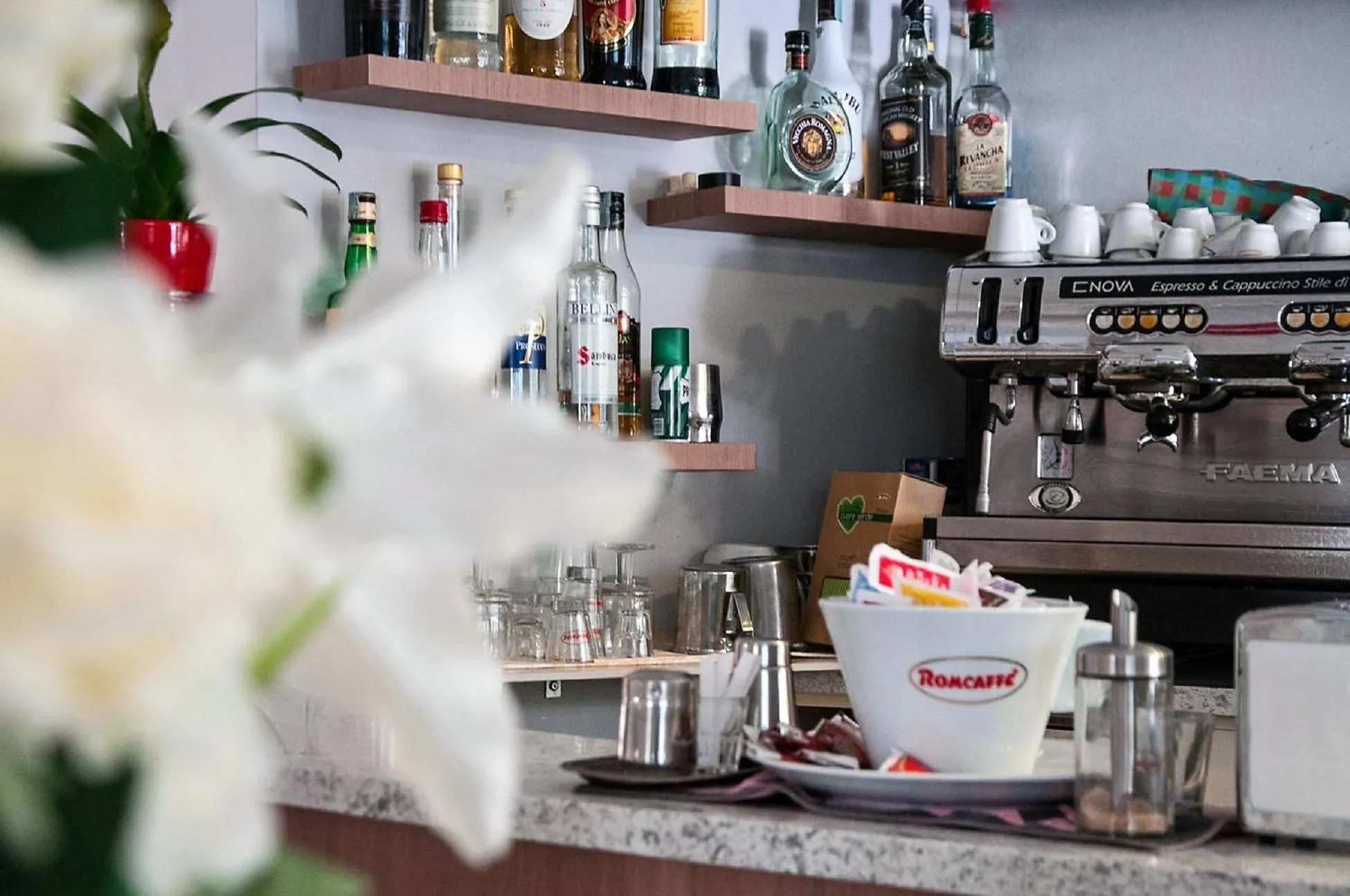 Restaurant/places to eat in Hotel Luana