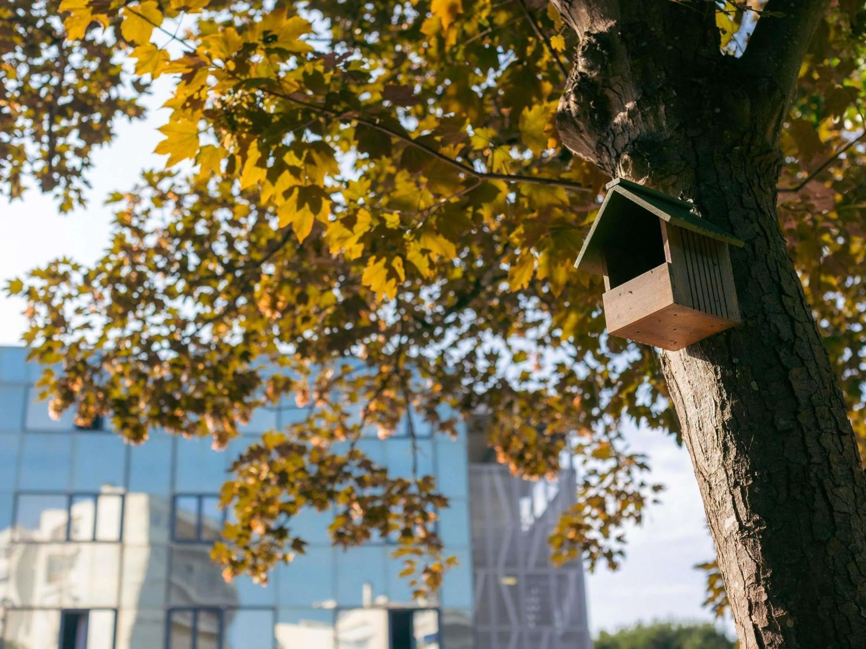 Other in Novotel La Rochelle Centre