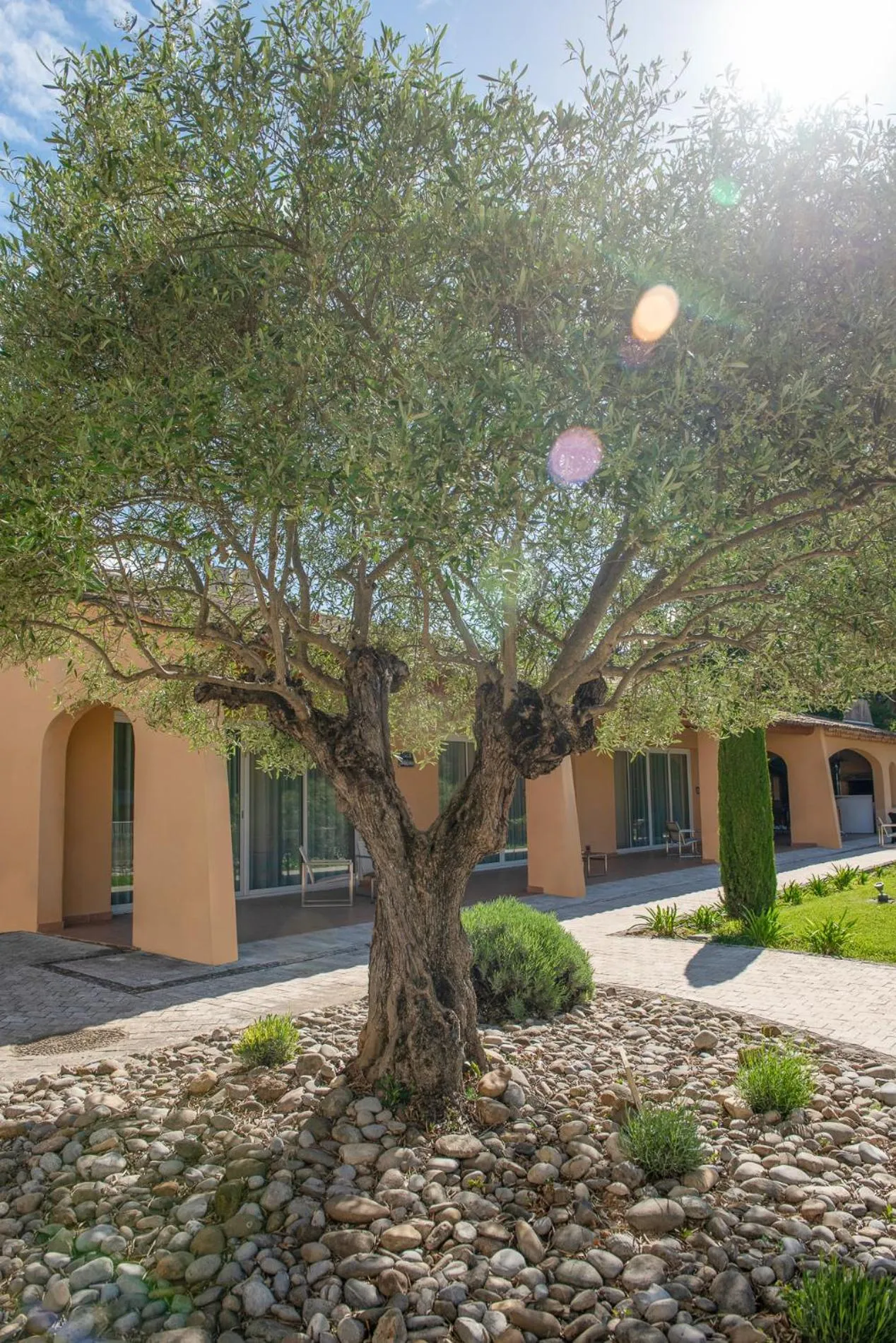 Garden in Novotel Aix-en-Provence Pont de L'Arc