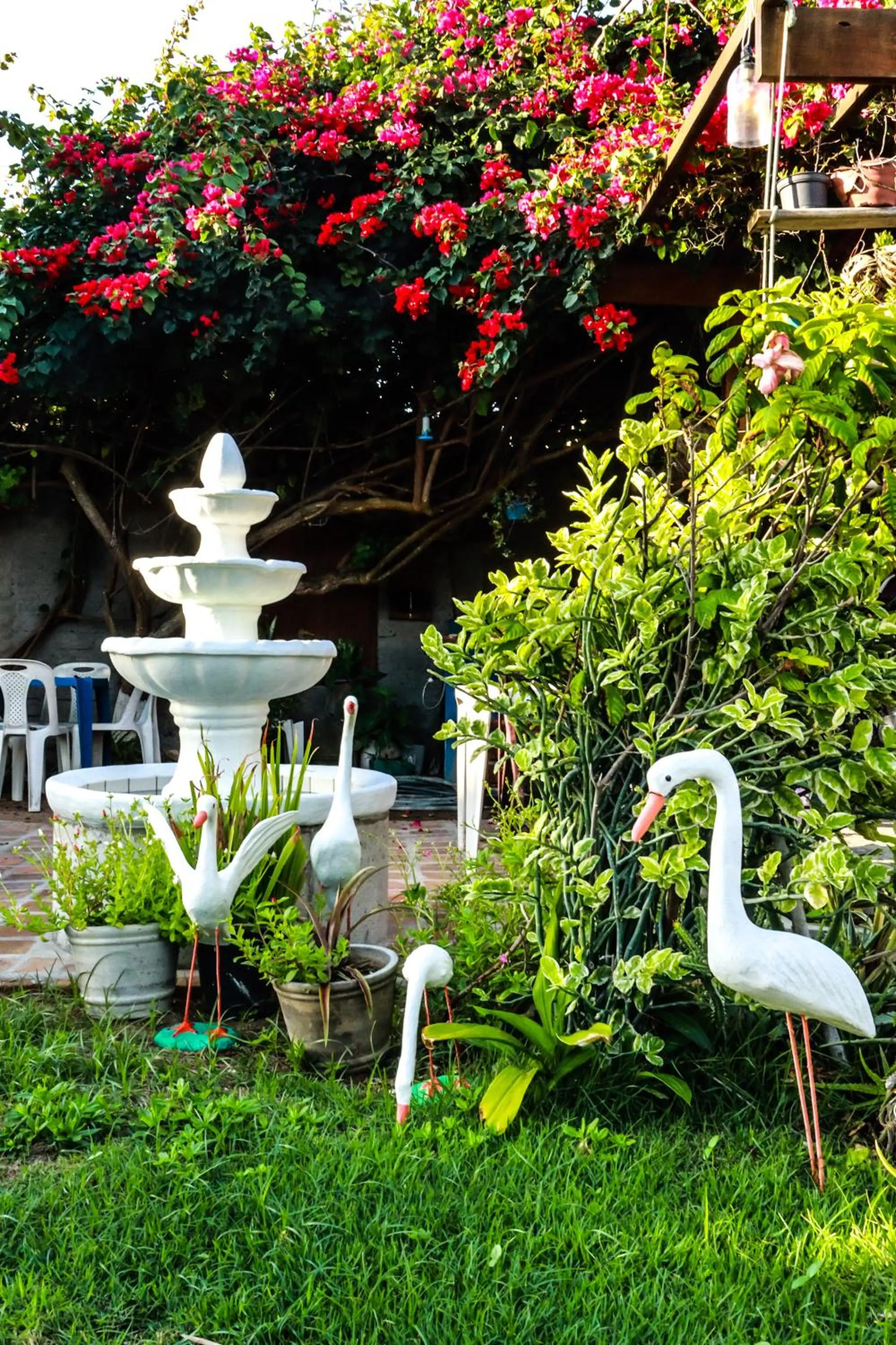 Garden in Pousada Ruínas do Pilar