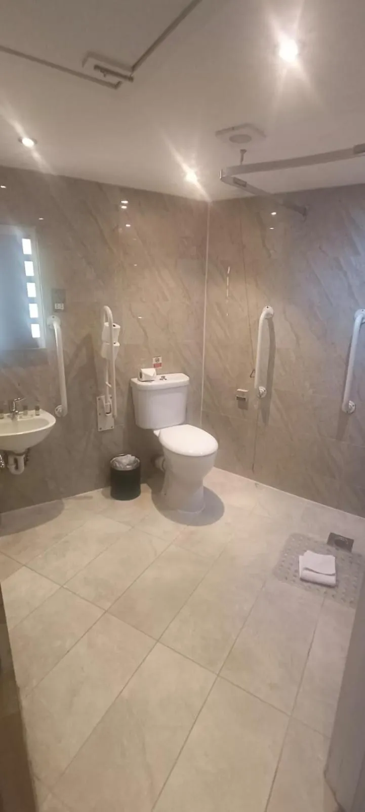 Toilet in The Shoreditch Inn