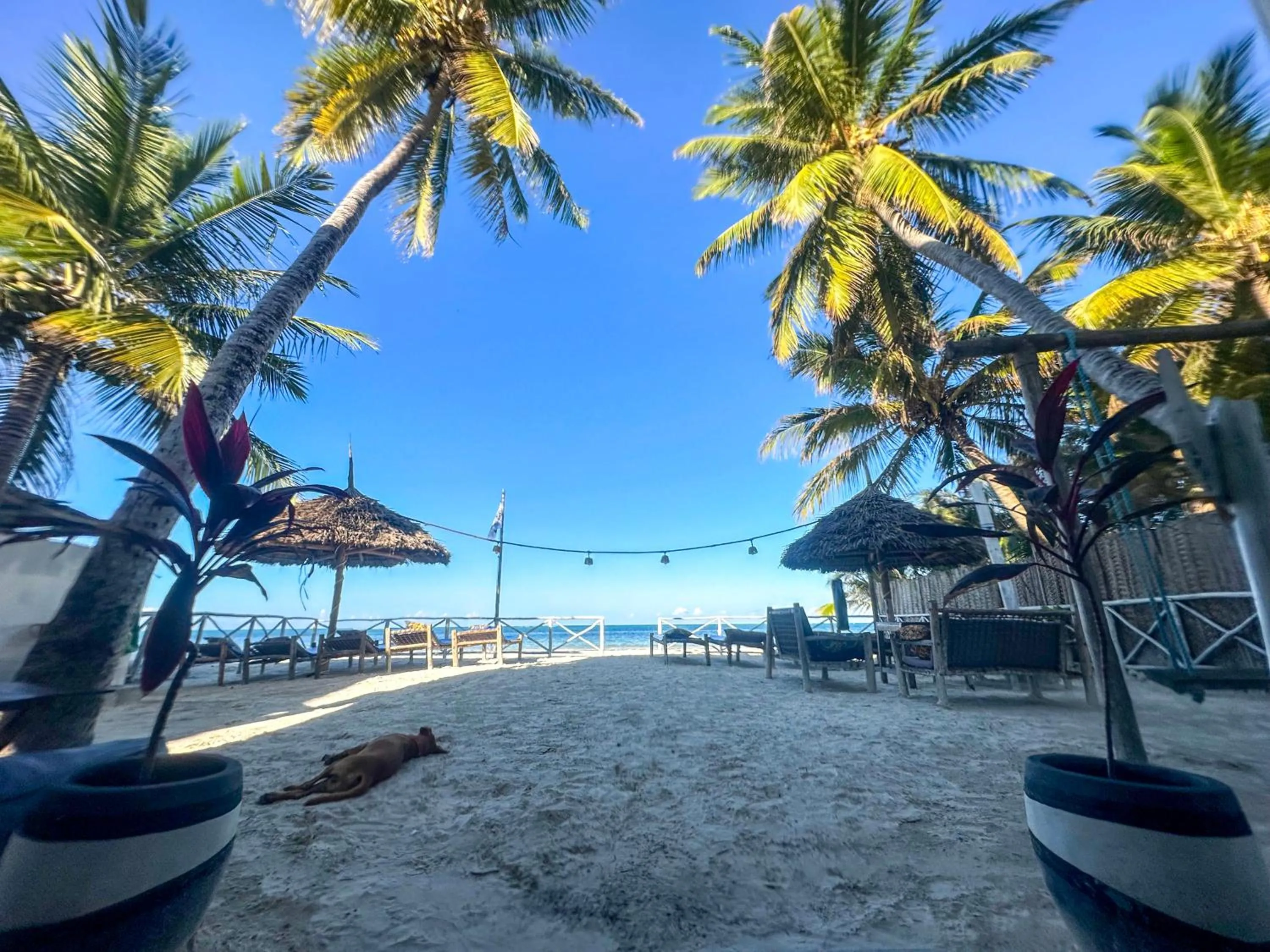 The African Paradise Beach Hotel