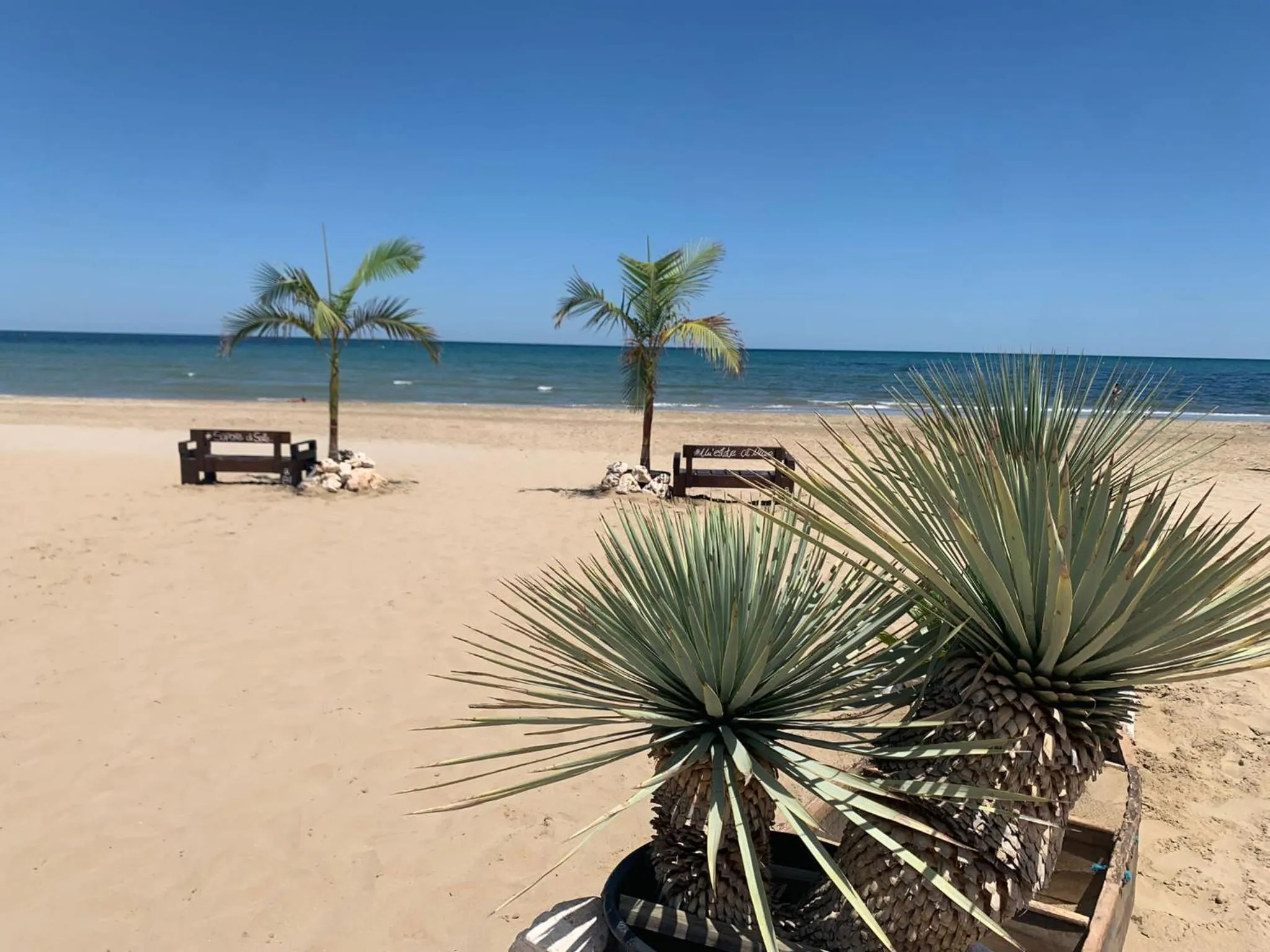 Beach in Hotel Berenice