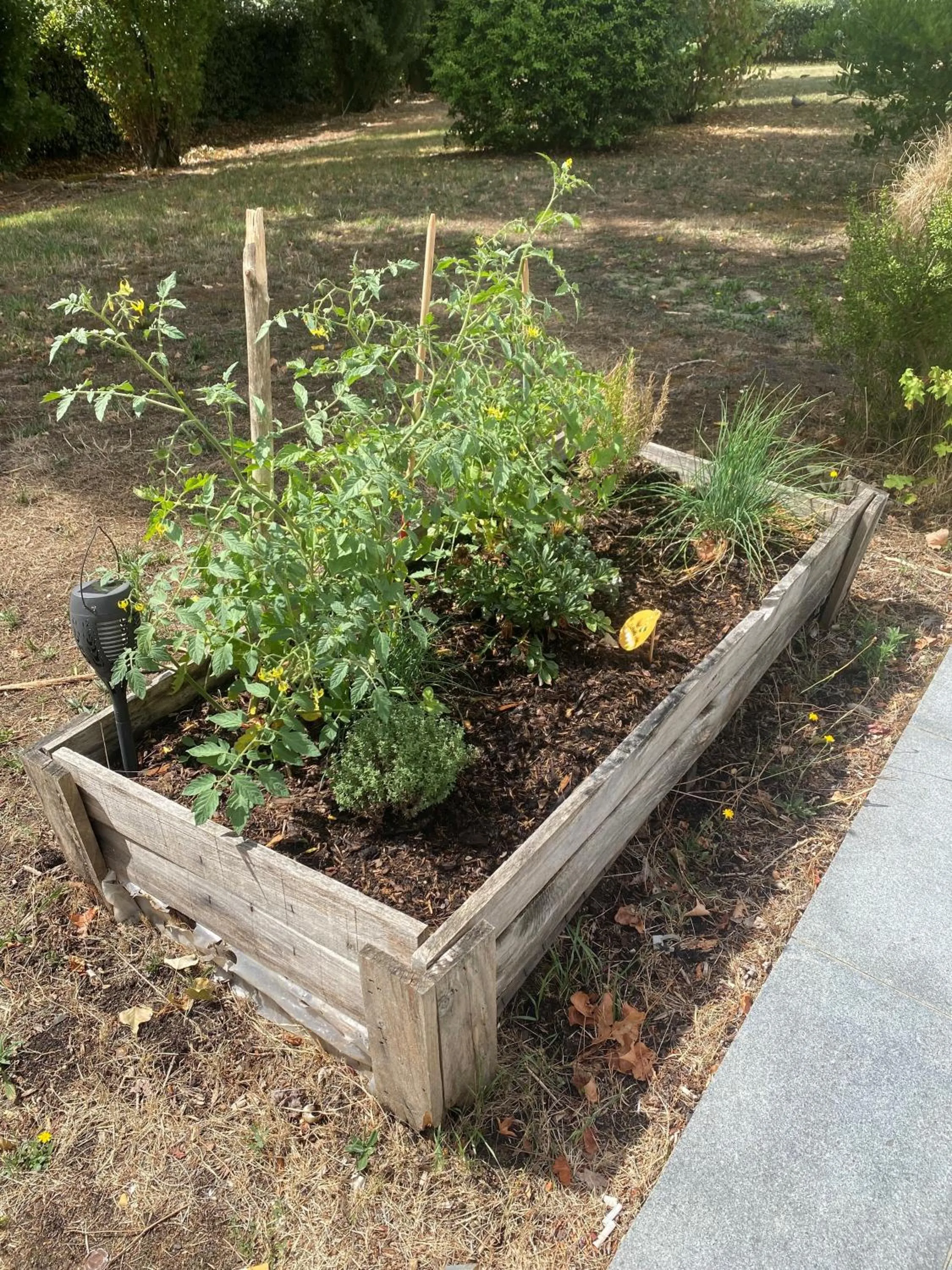 Garden in Novotel Le Mans