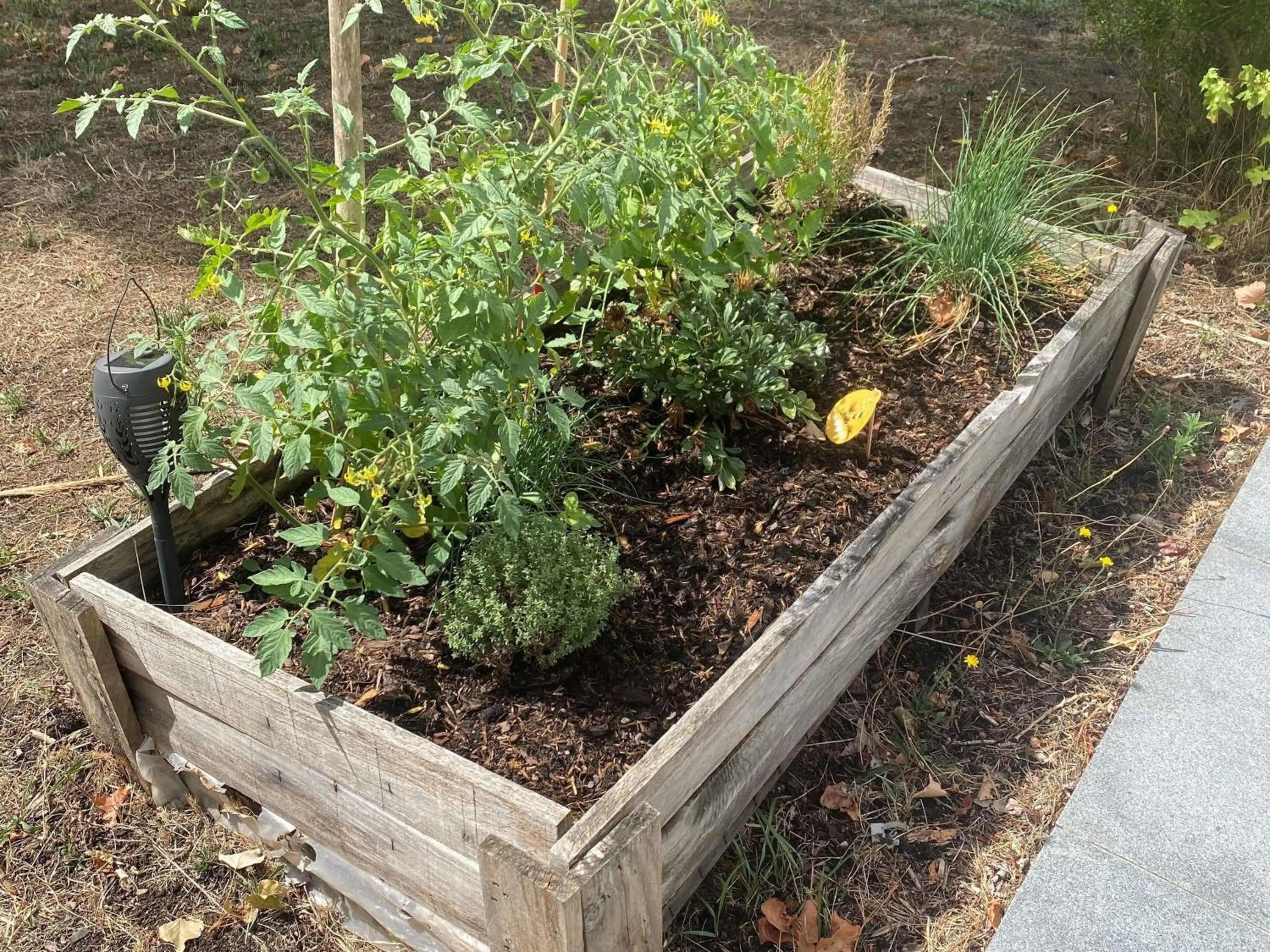 Other in Novotel Le Mans