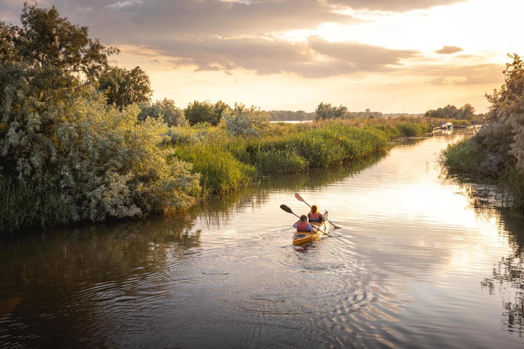 group of guests in Green Village Resort