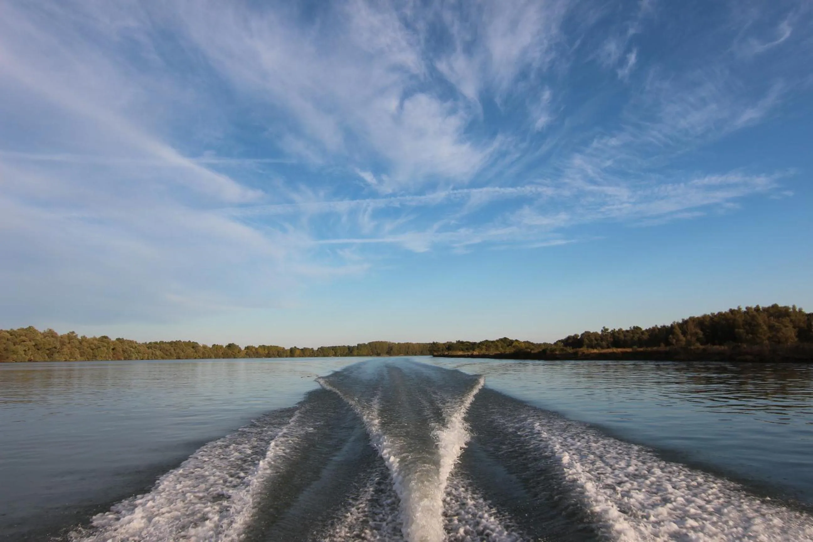 Natural landscape in Green Village Resort