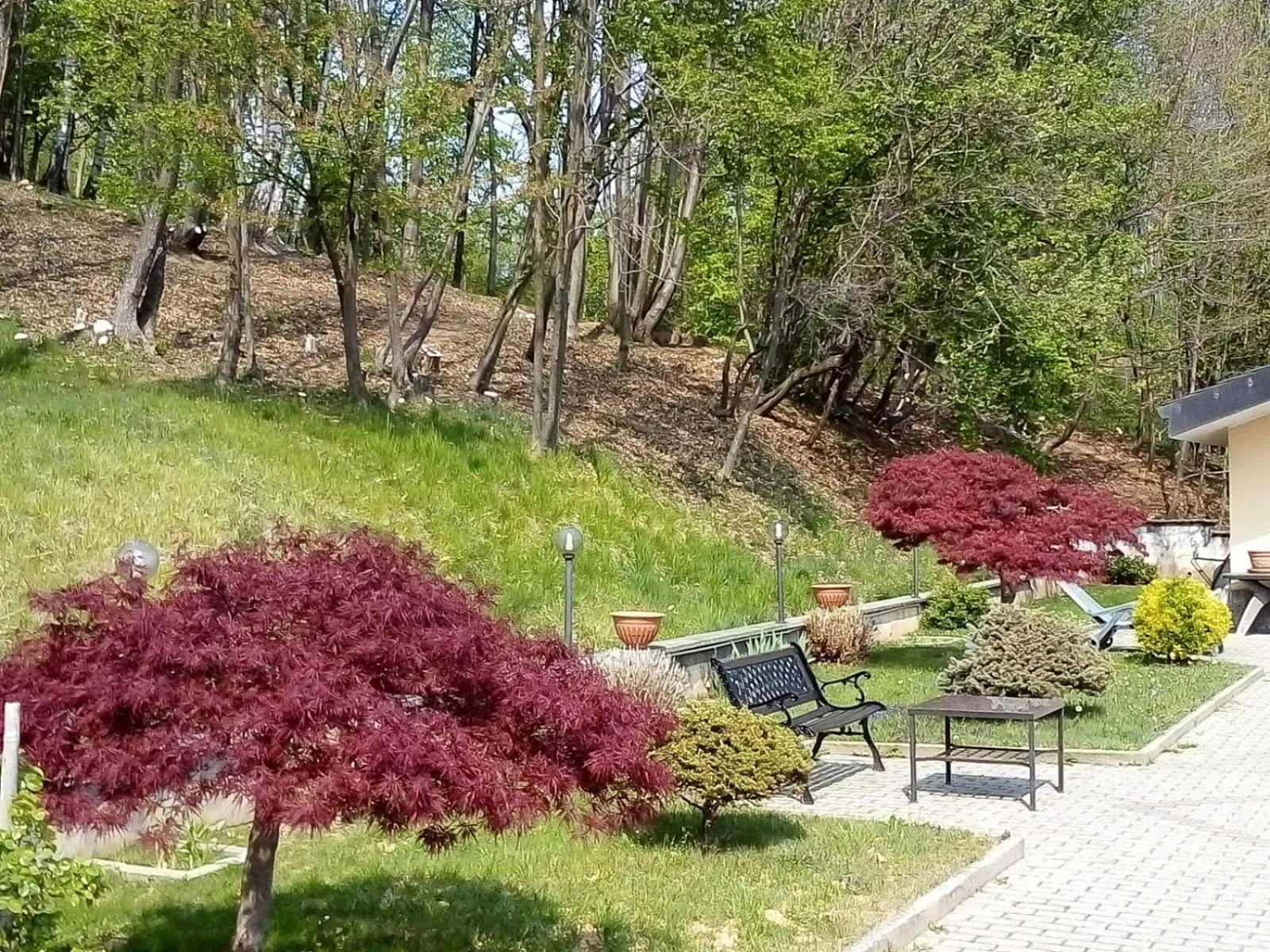 Appartamento La Casa nel Bosco