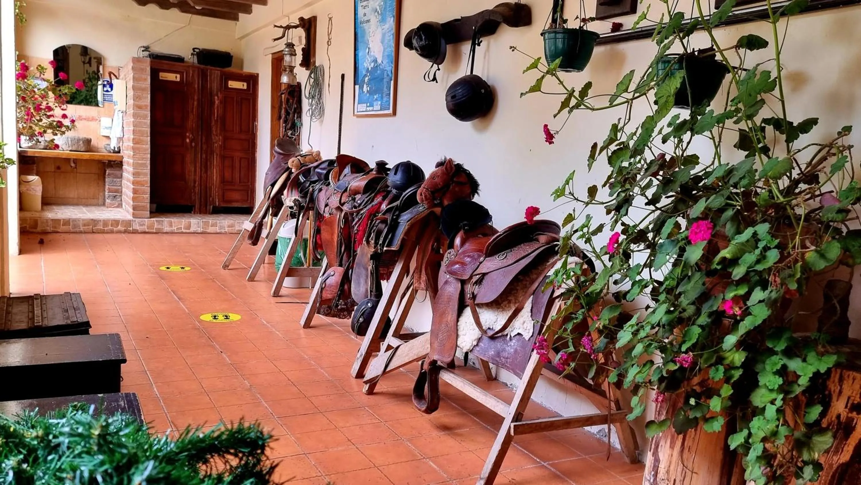 Seating area in Hacienda San Isidro Trails & Experiences