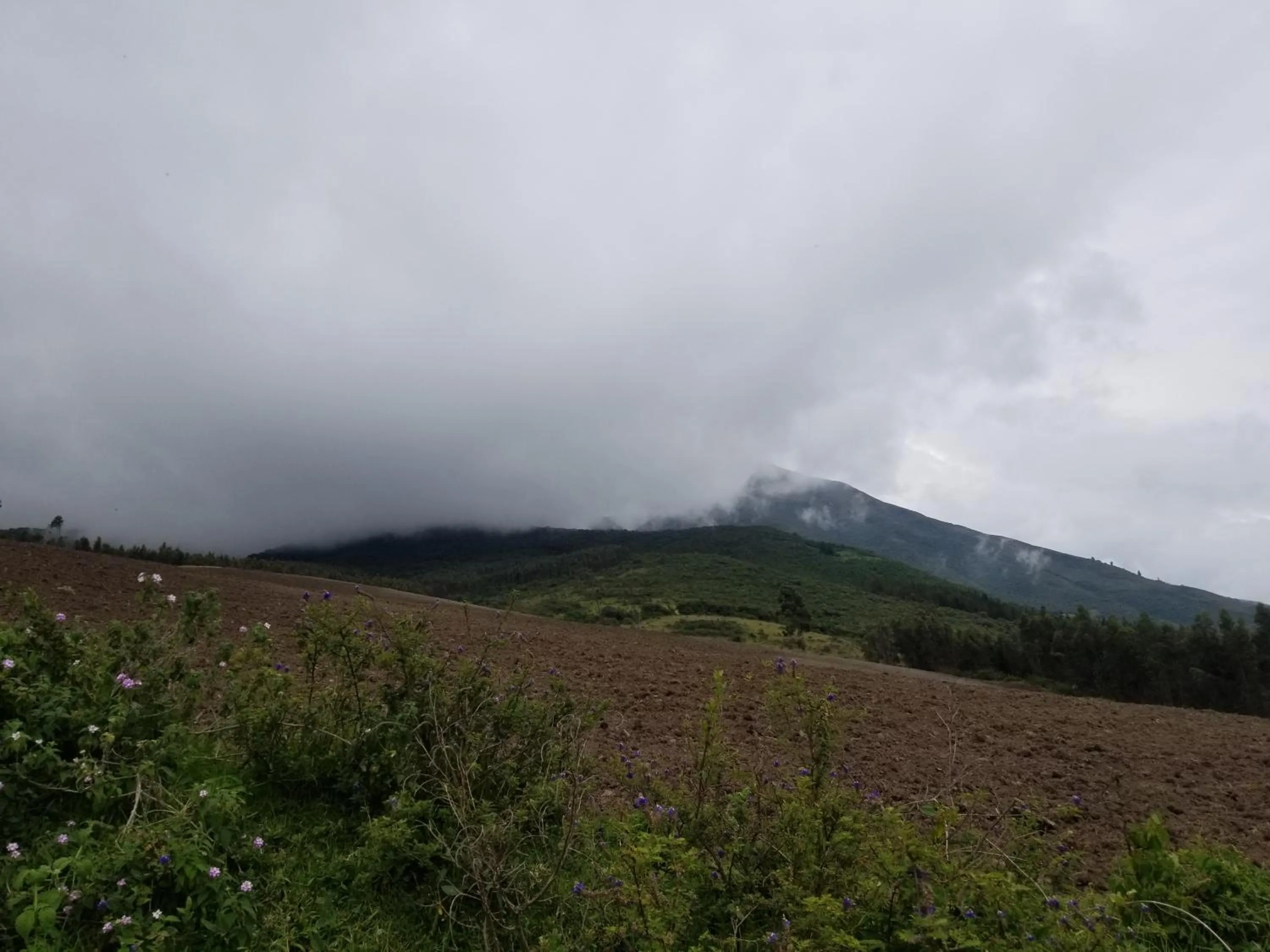 Natural landscape in Hacienda San Isidro Trails & Experiences