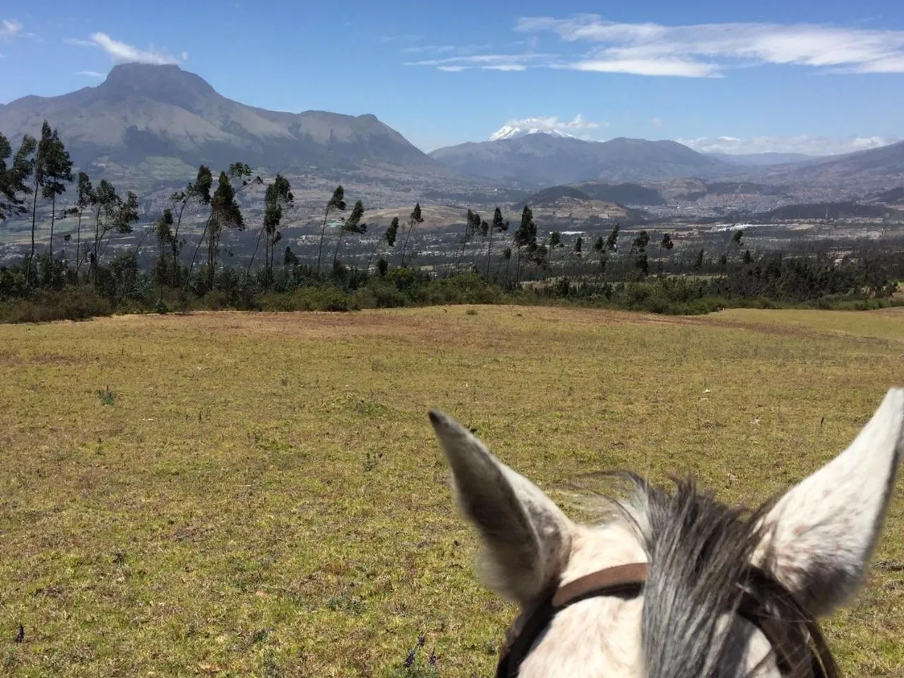 Horse-riding in Hacienda San Isidro Trails & Experiences