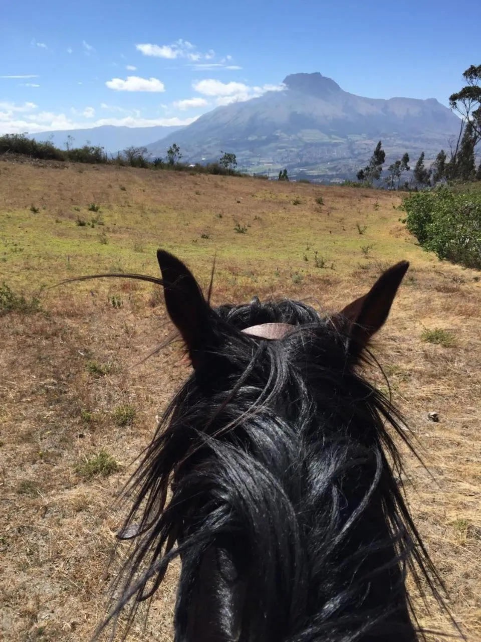 Horse-riding in Hacienda San Isidro Trails & Experiences