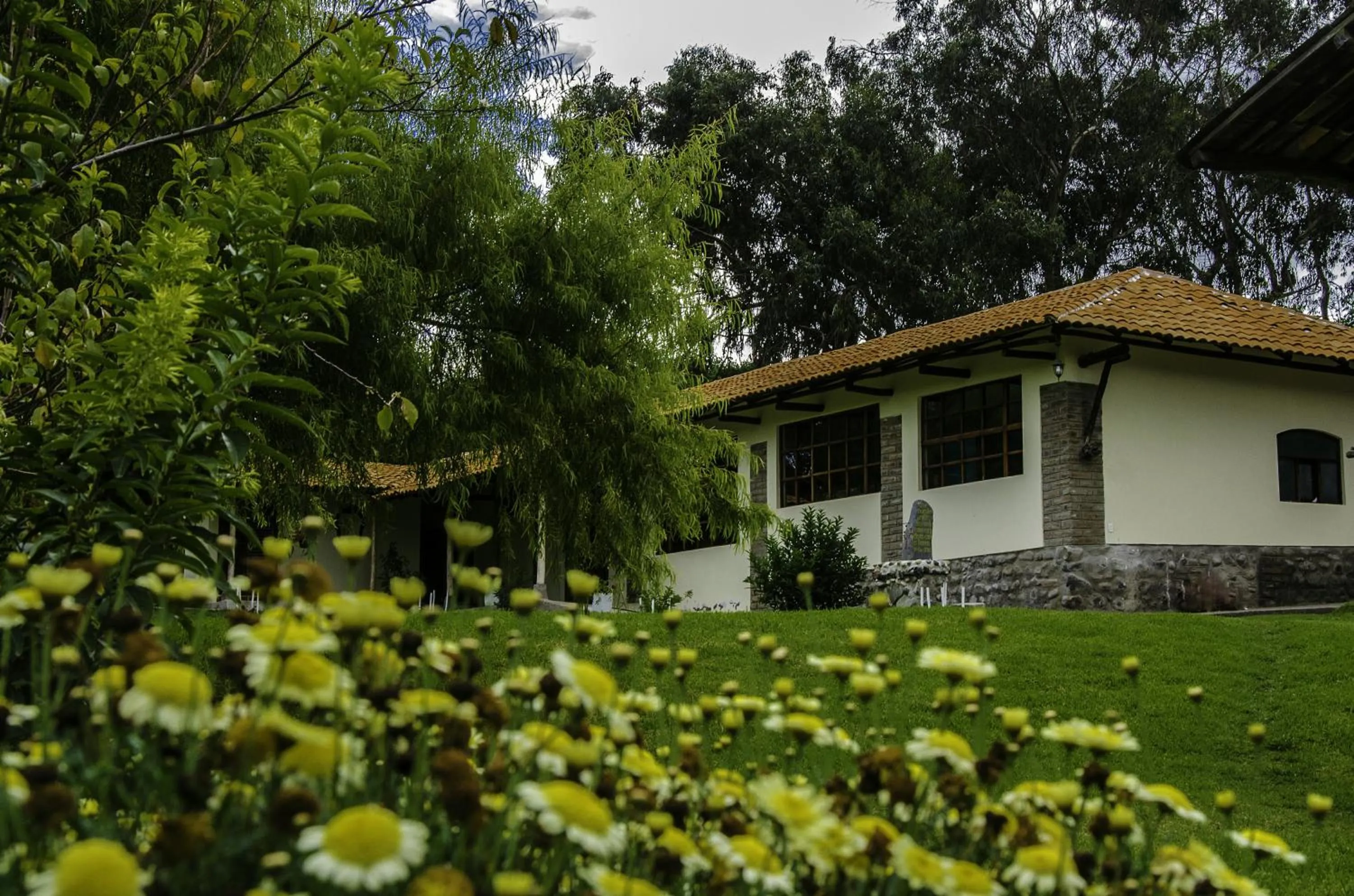 Spring in Hacienda San Isidro Trails & Experiences