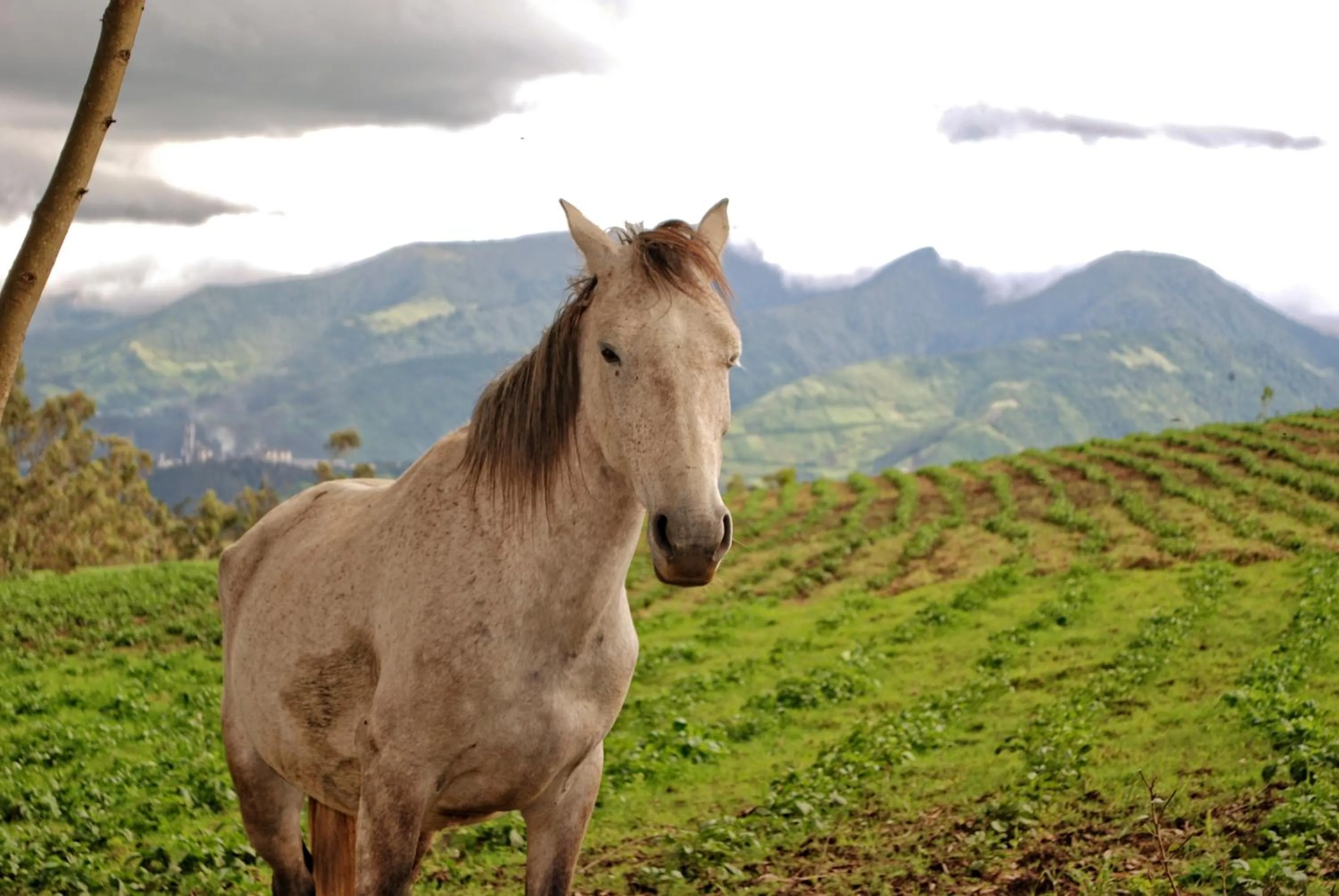 Sports in Hacienda San Isidro Trails & Experiences