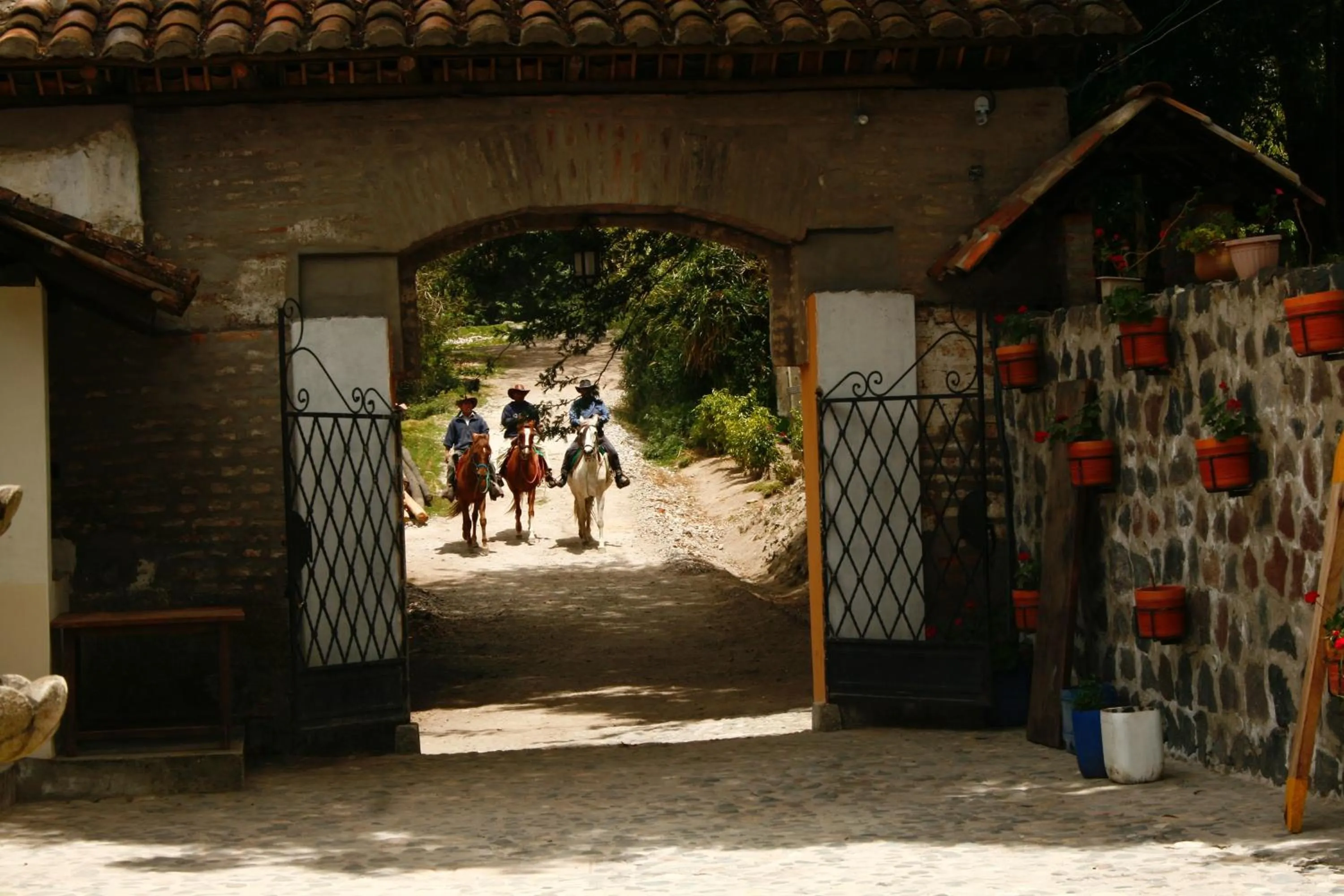 Activities in Hacienda San Isidro Trails & Experiences