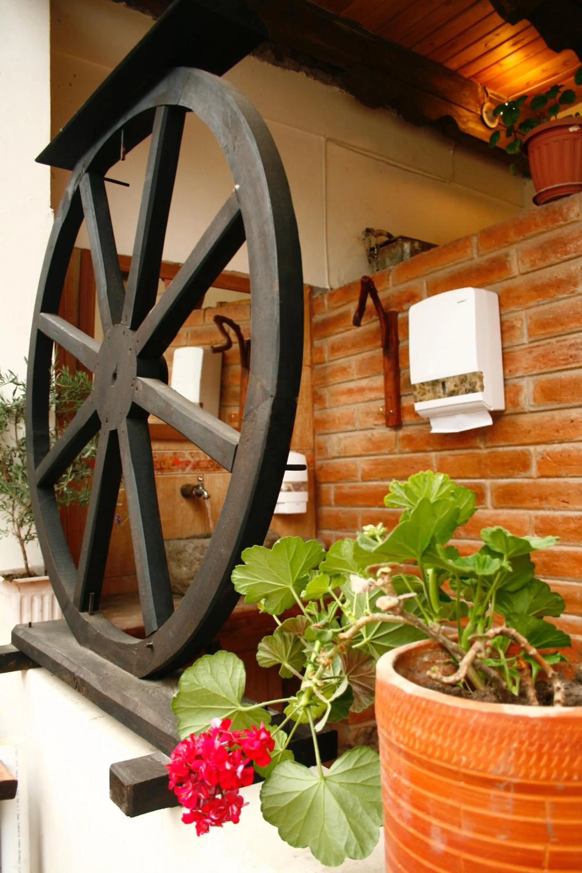 Off site in Hacienda San Isidro Trails & Experiences