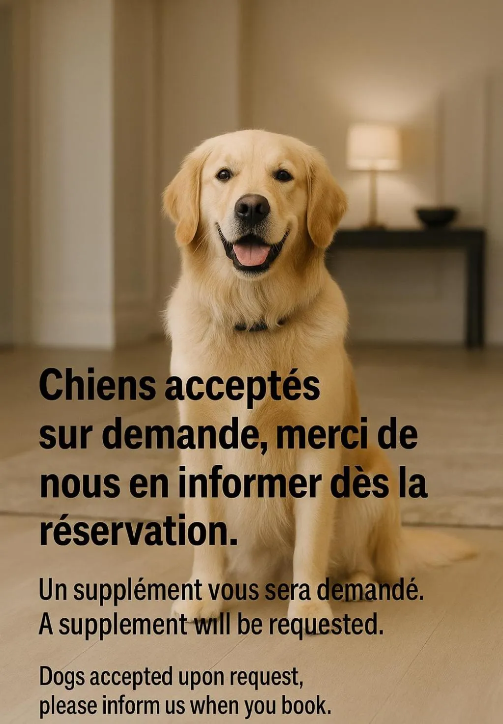 Pets in Best Western Plus Hotel Canet-Plage