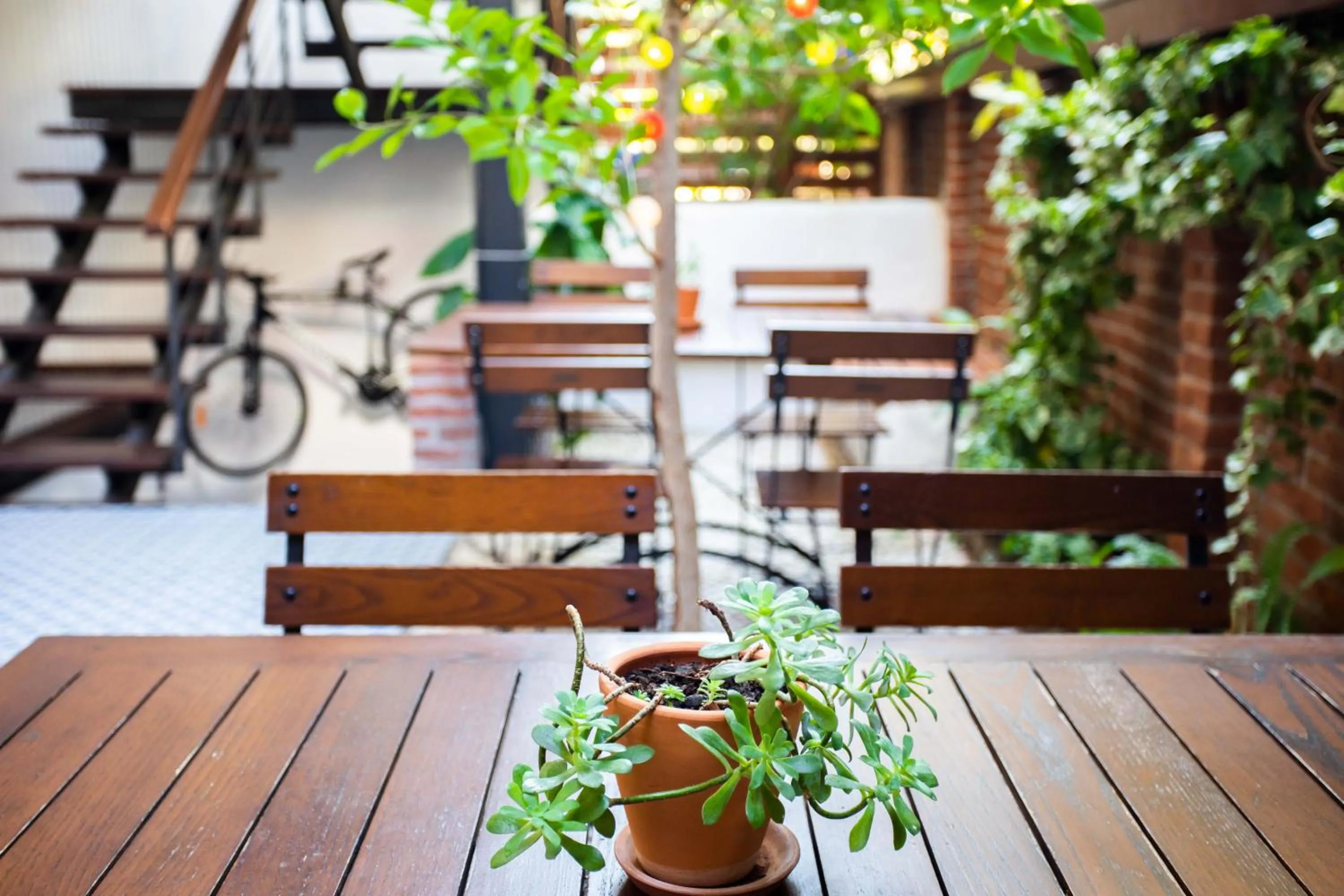 Patio in Mare Nostrum