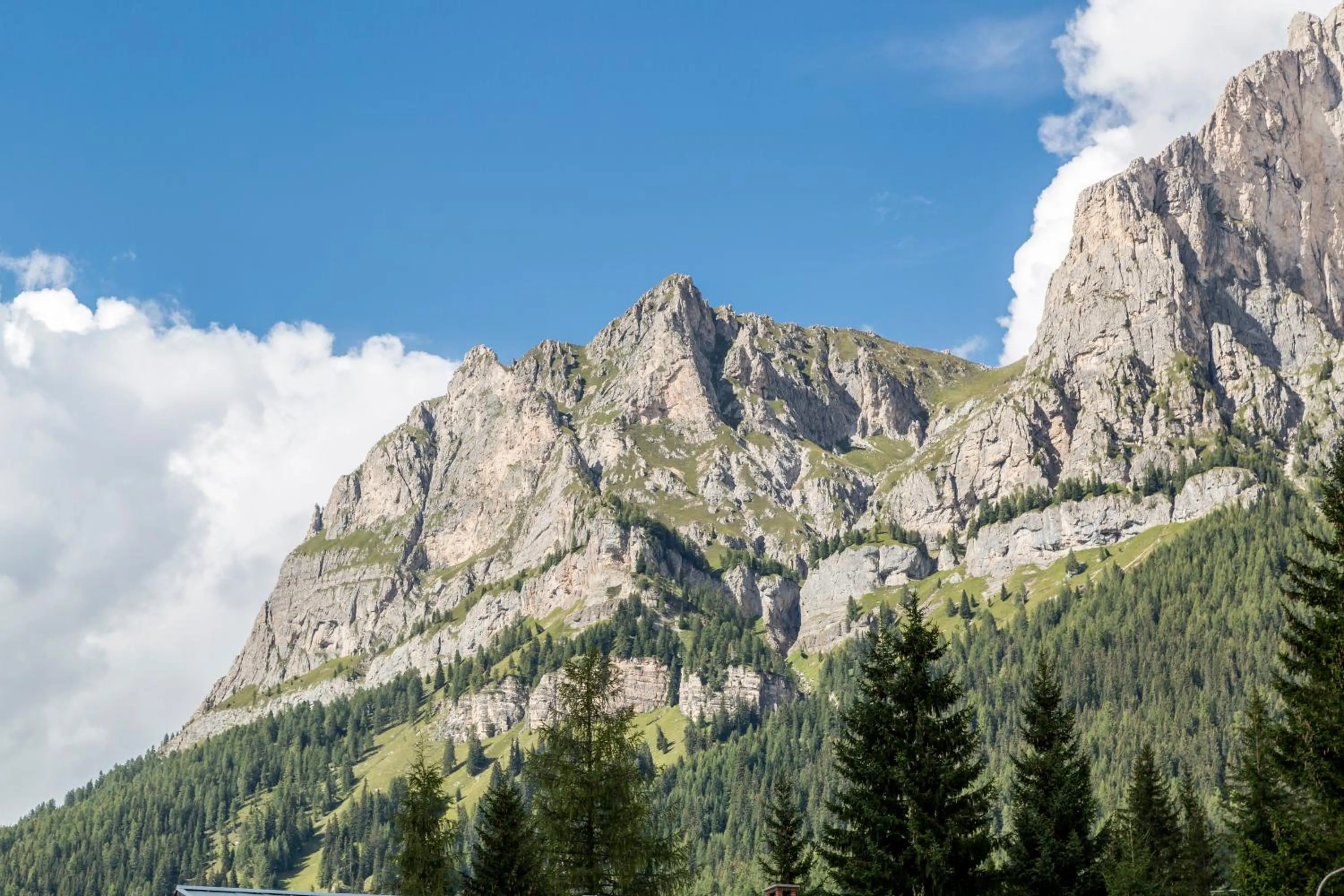 Natural landscape in Hotel Garni la Stua