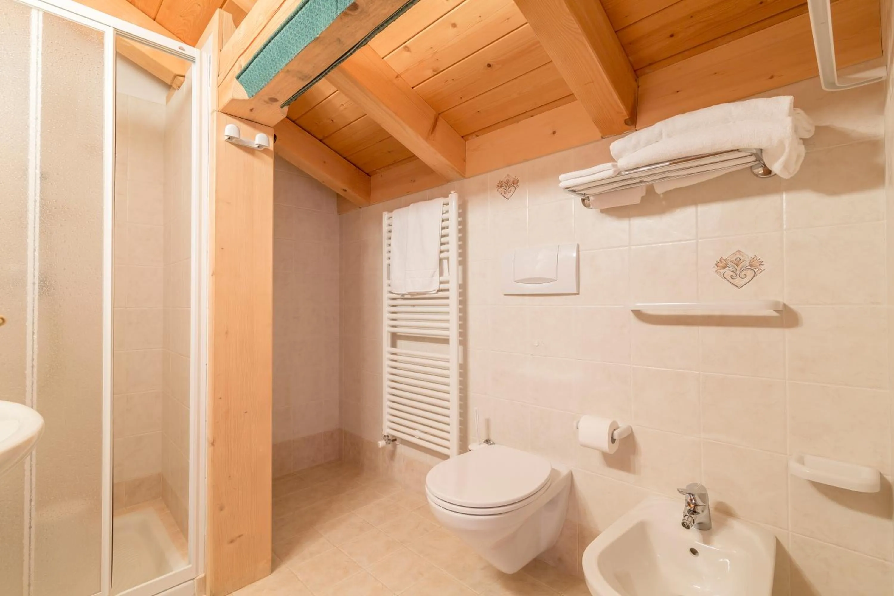 Shower in Hotel Garni la Stua