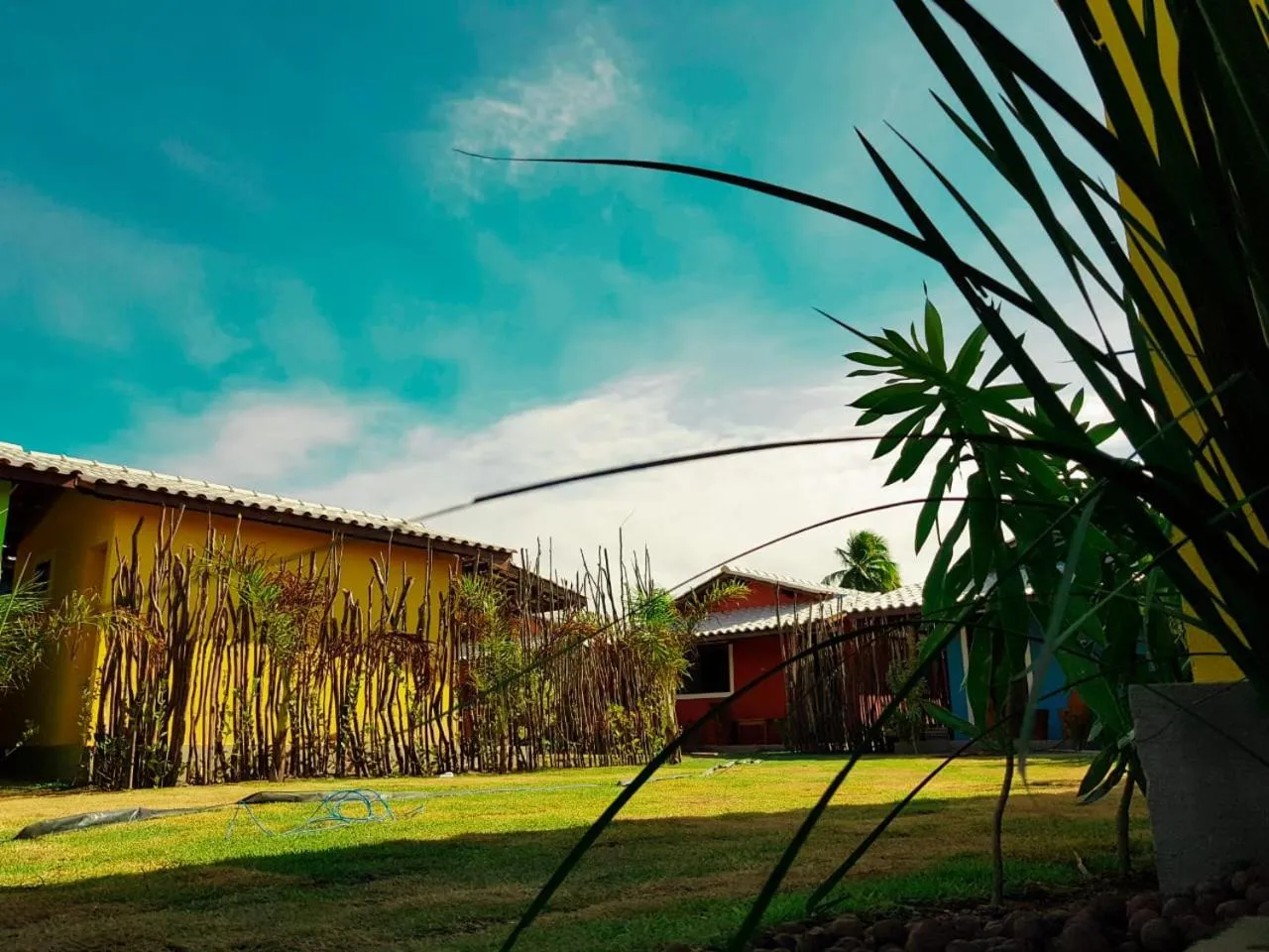 Garden in Vila do Coco - Milagres AL