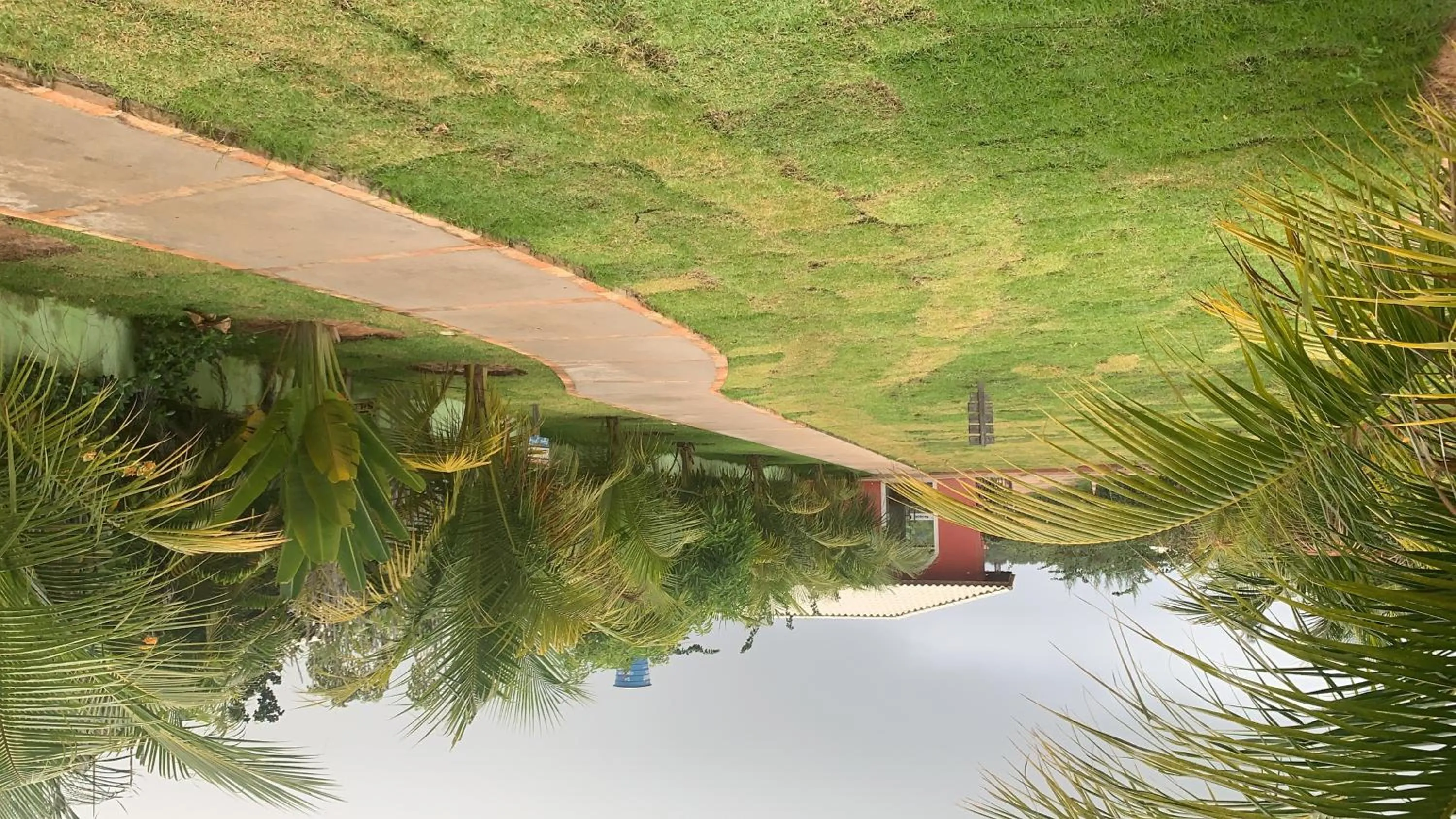 Garden view in Vila do Coco - Milagres AL