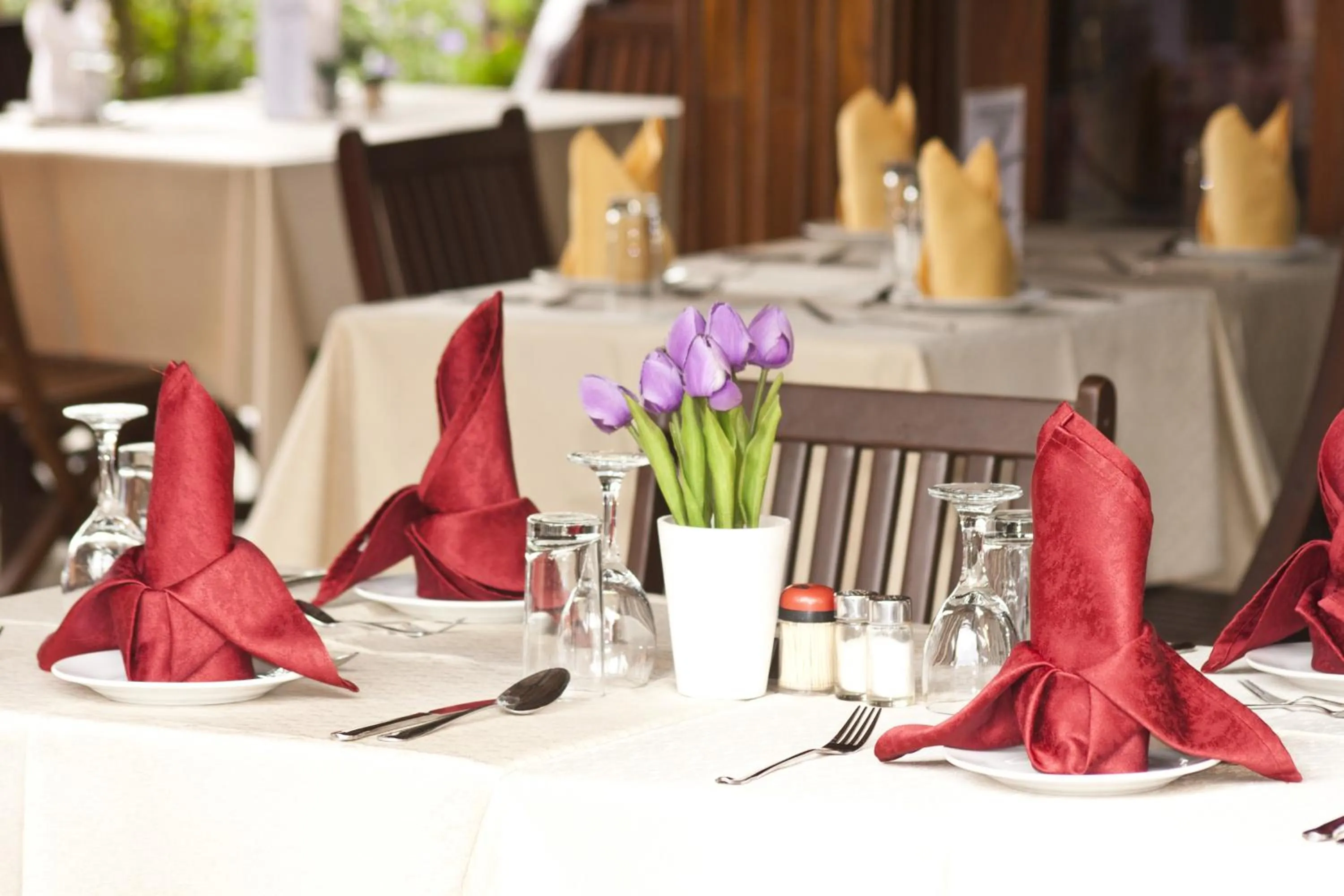 Restaurant/places to eat in Paloma Hotel Ring Road