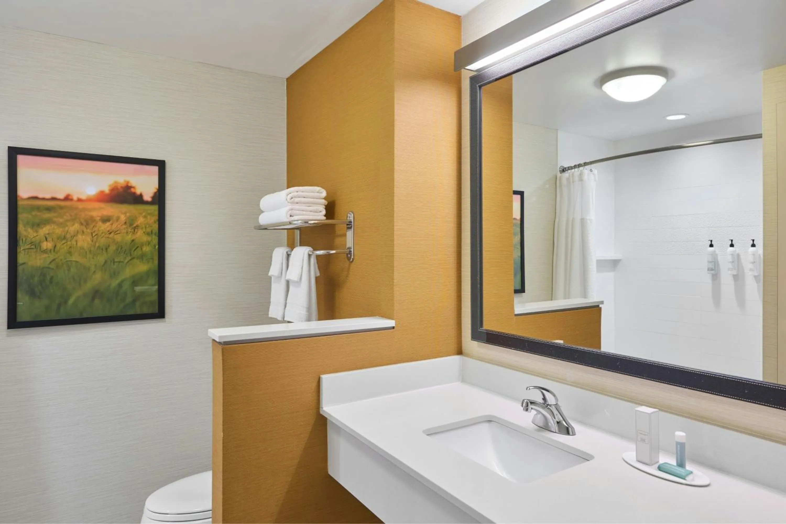 Bathroom in Fairfield by Marriott Inn & Suites Knoxville Turkey Creek