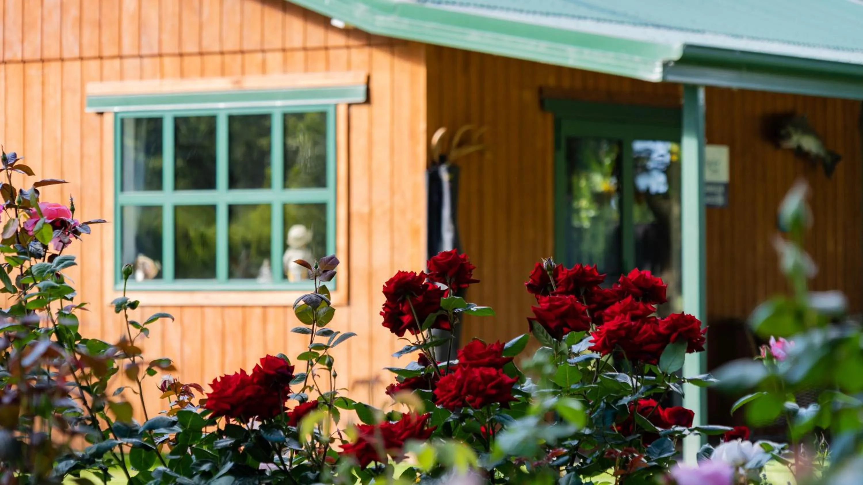 Garden in The Jolly Poacher Retreat