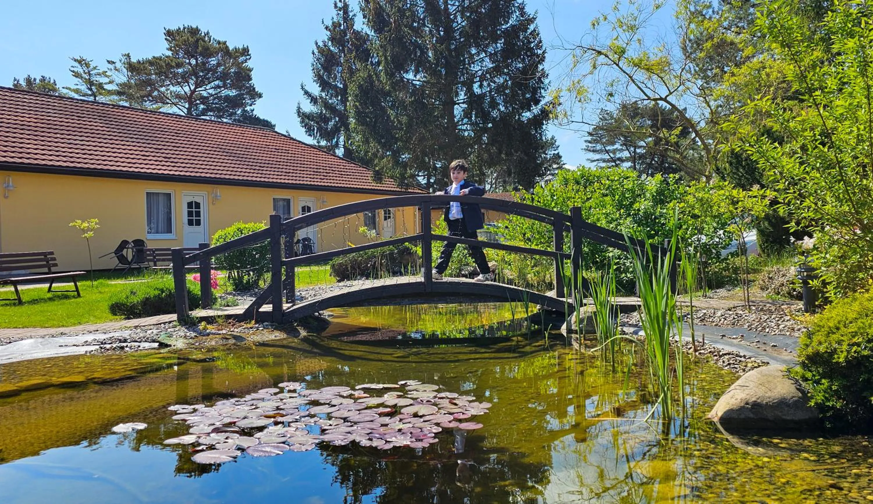 Natural landscape in Hotel Pommerscher Hof
