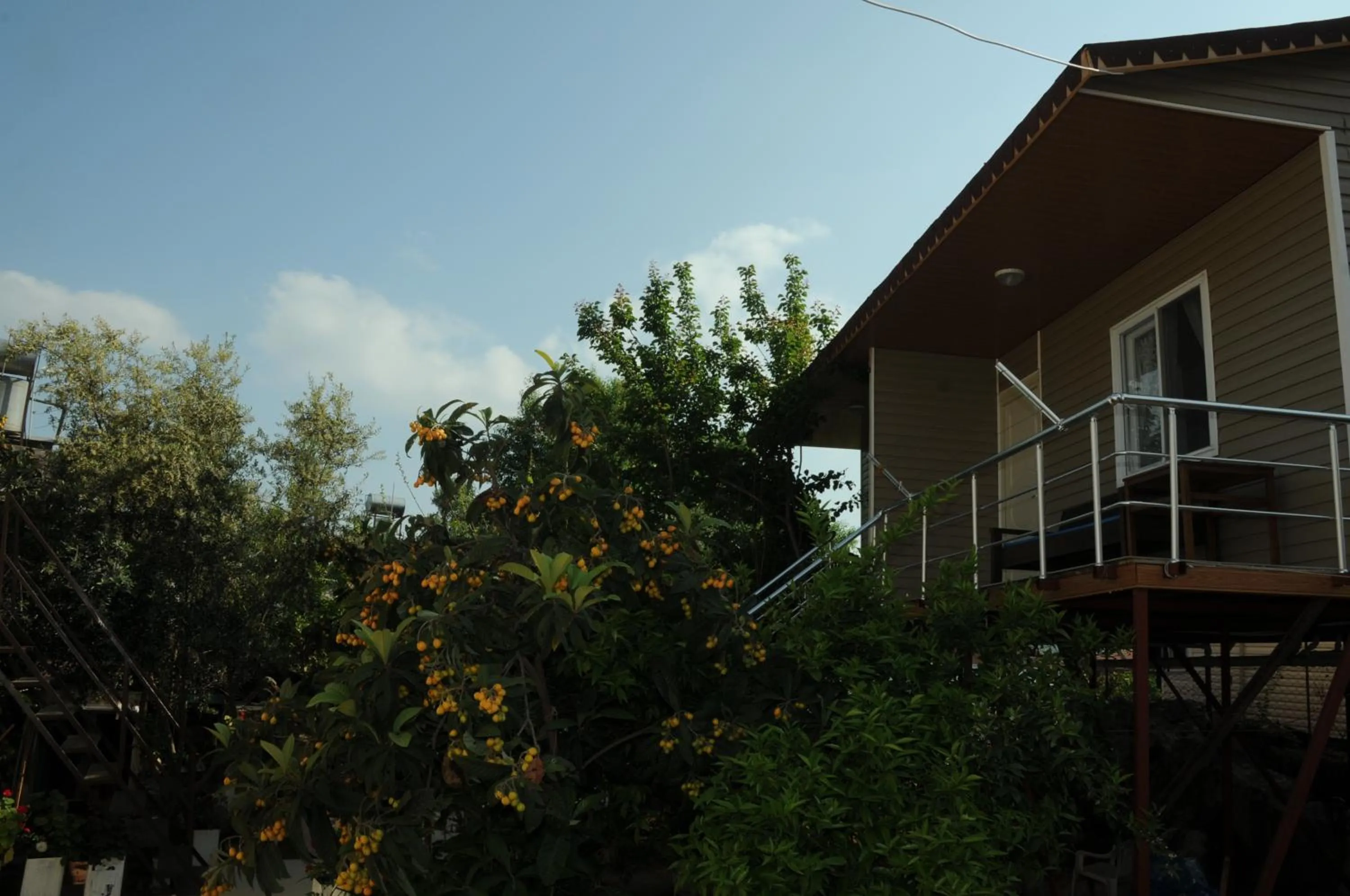 Day in Likya Pansiyon