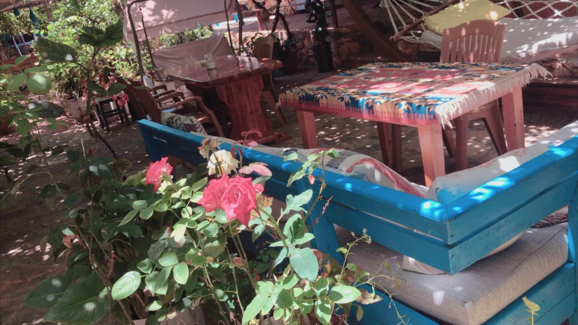 Garden in Likya Pansiyon