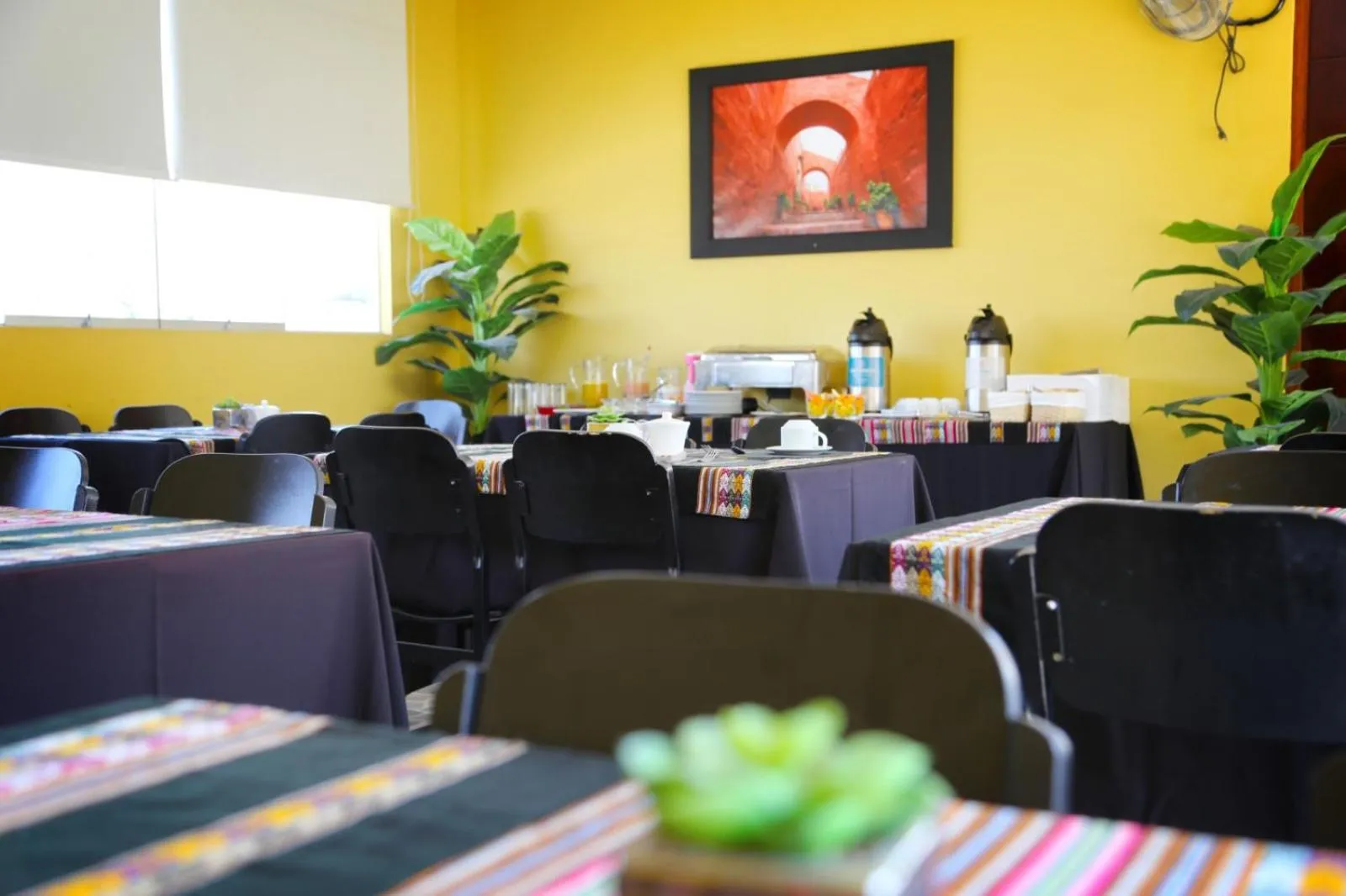 Communal lounge/ TV room in Hoteles Riviera Colonial