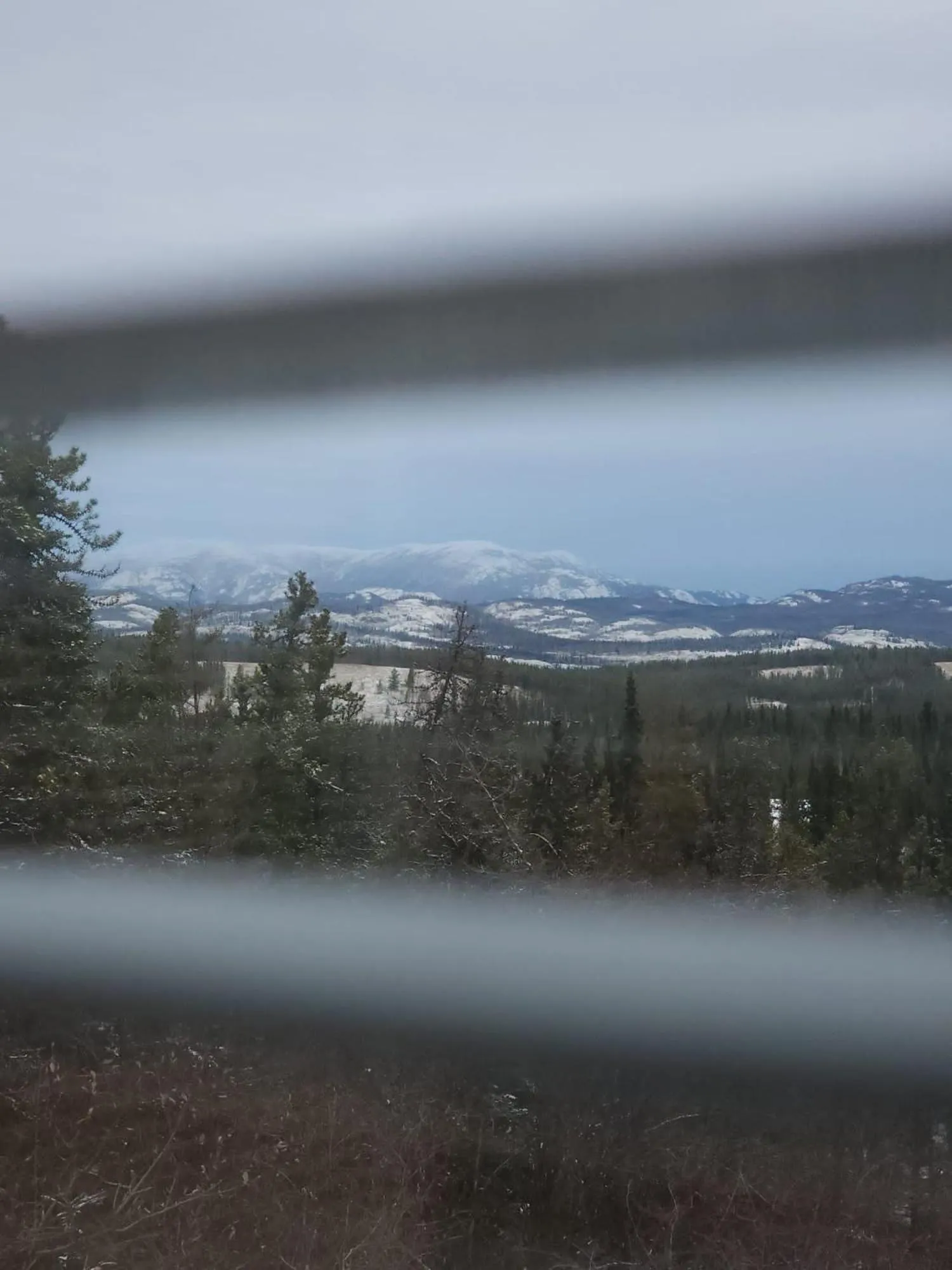 View (from property/room) in Hidden Valley Bed and Breakfast