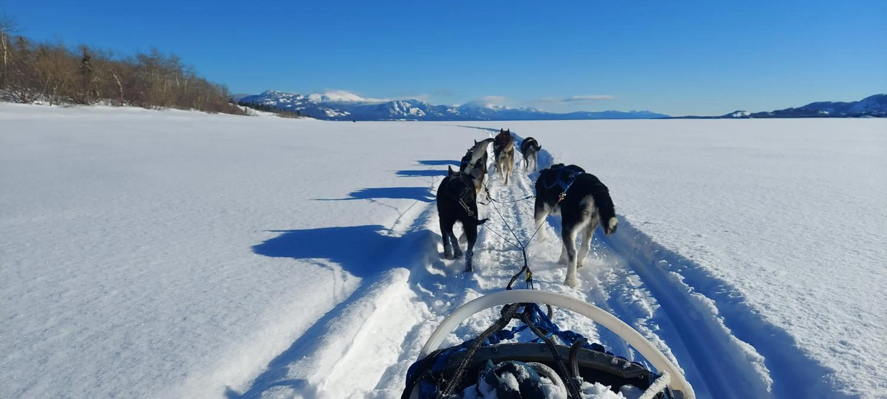Natural landscape in Hidden Valley Bed and Breakfast