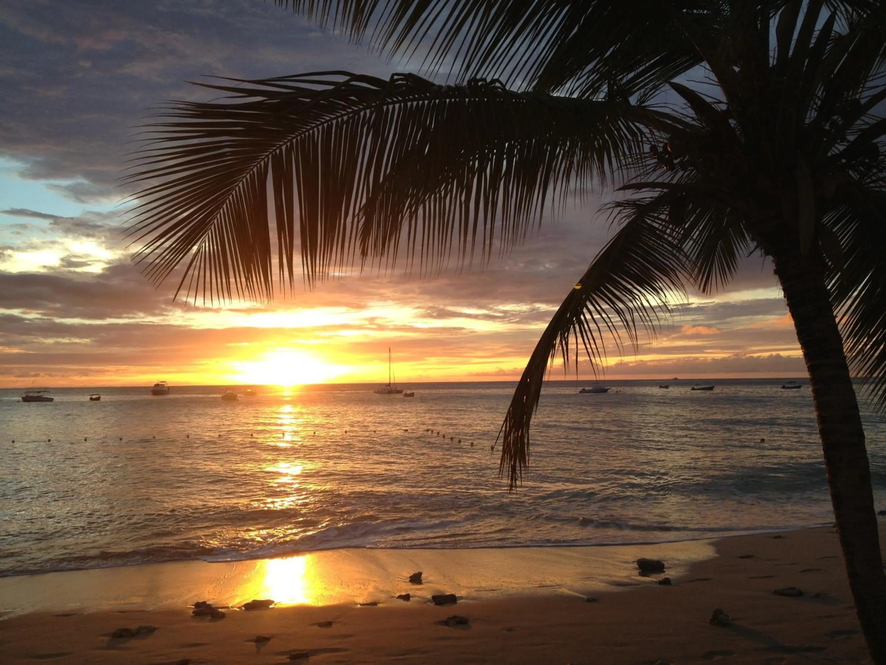 Beach in Tropical Sunset Beach Apartment Hotel