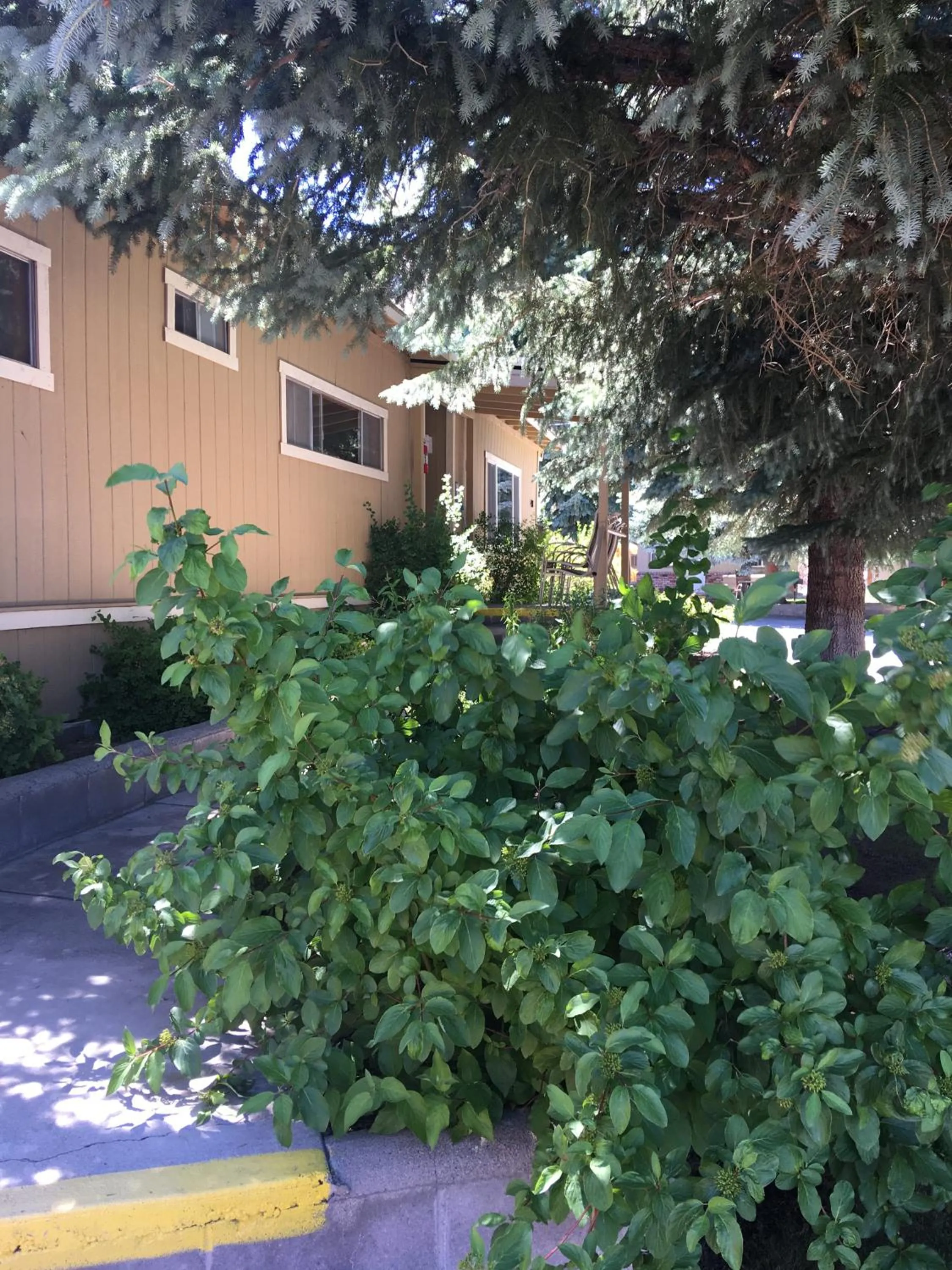 Property building in Lake View Lodge